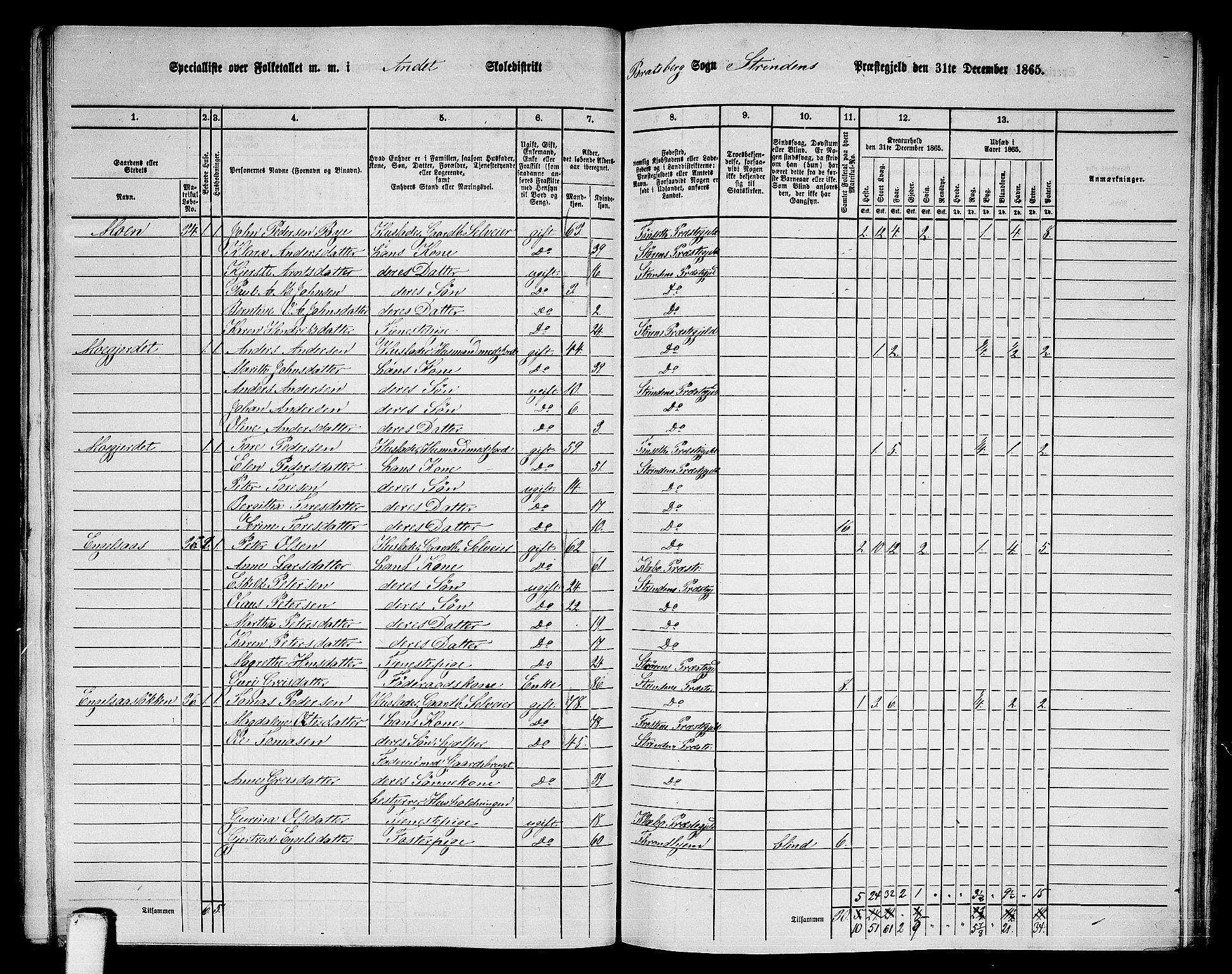 RA, 1865 census for Strinda, 1865, p. 175