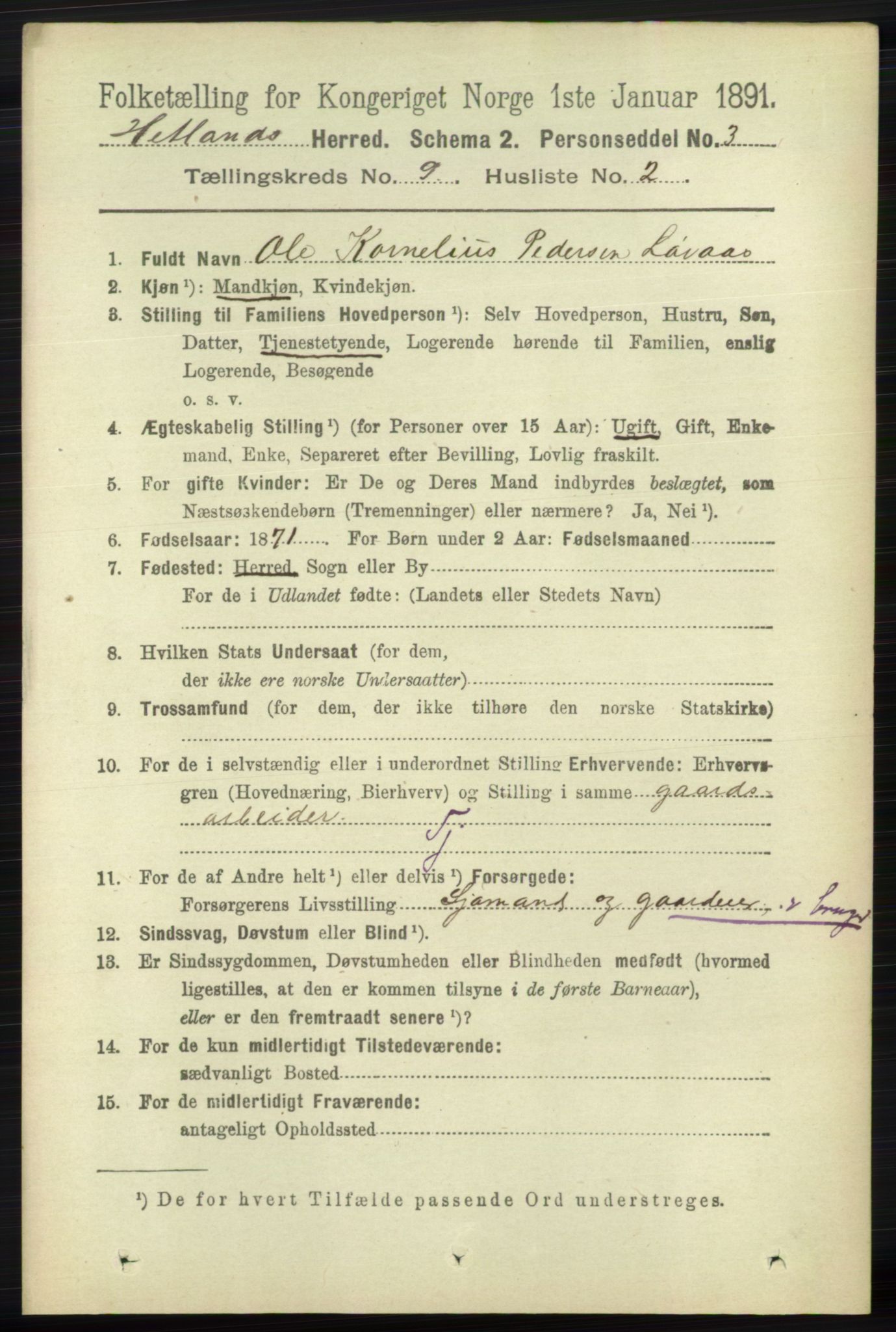 RA, 1891 census for 1126 Hetland, 1891, p. 5116