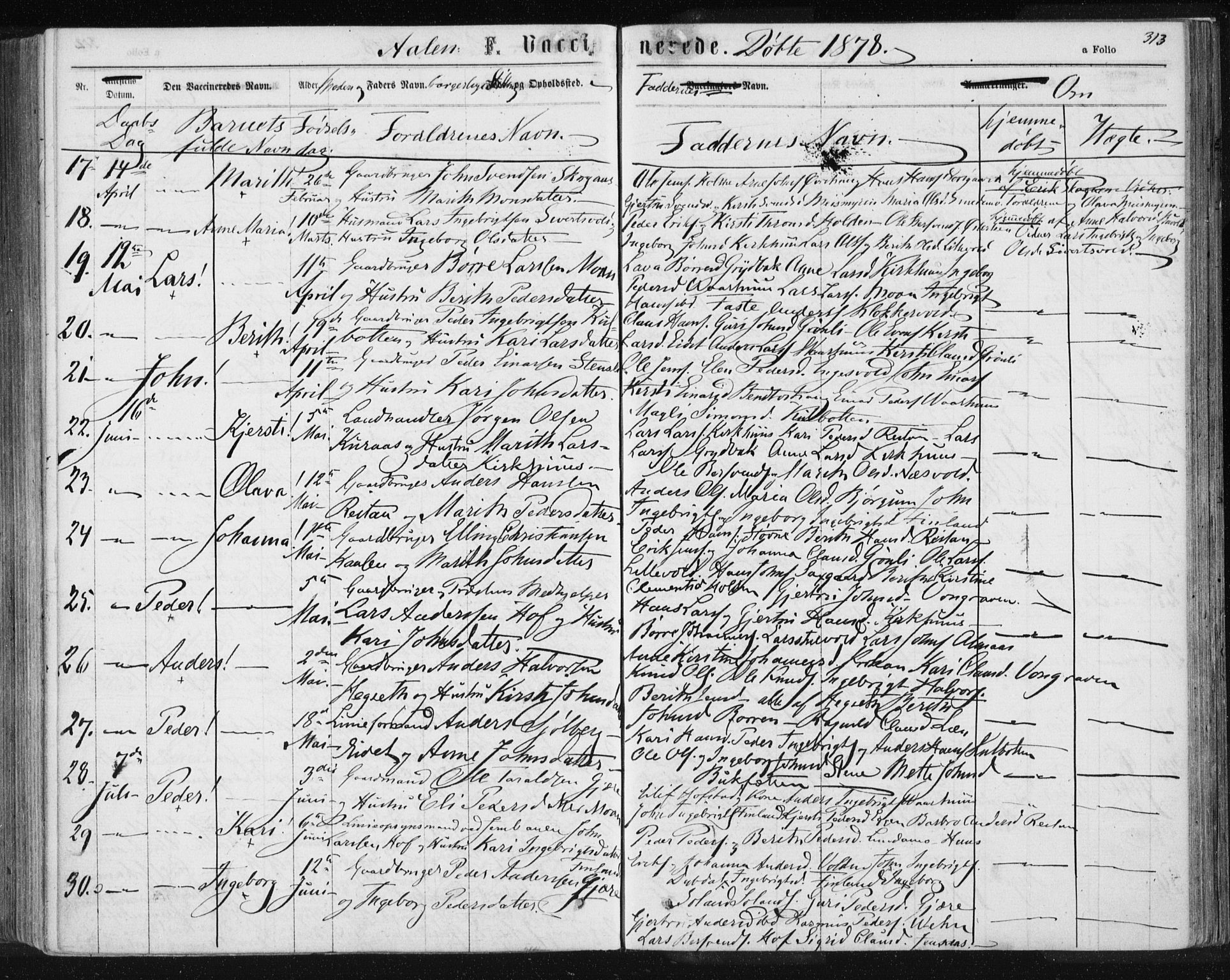 Ministerialprotokoller, klokkerbøker og fødselsregistre - Sør-Trøndelag, SAT/A-1456/685/L0971: Parish register (official) no. 685A08 /3, 1870-1879, p. 313