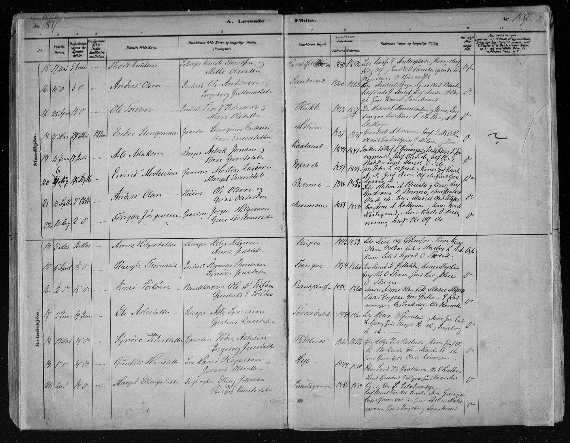Nes kirkebøker, AV/SAKO-A-236/F/Fa/L0011: Parish register (official) no. 11, 1881-1912, p. 39