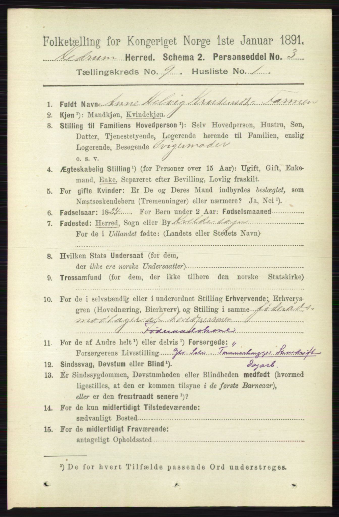 RA, 1891 census for 0727 Hedrum, 1891, p. 3919