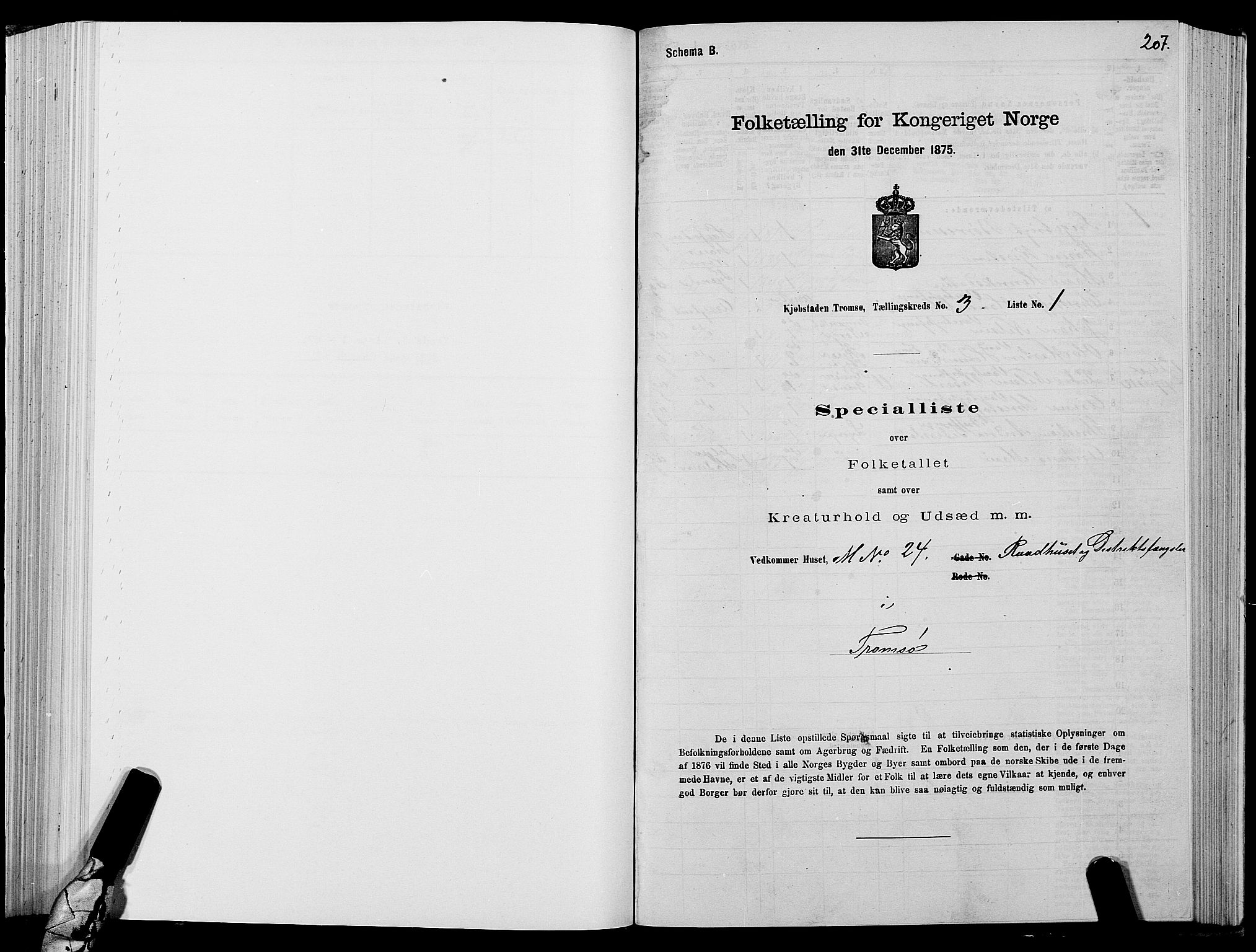 SATØ, 1875 census for 1902P Tromsø, 1875, p. 2207