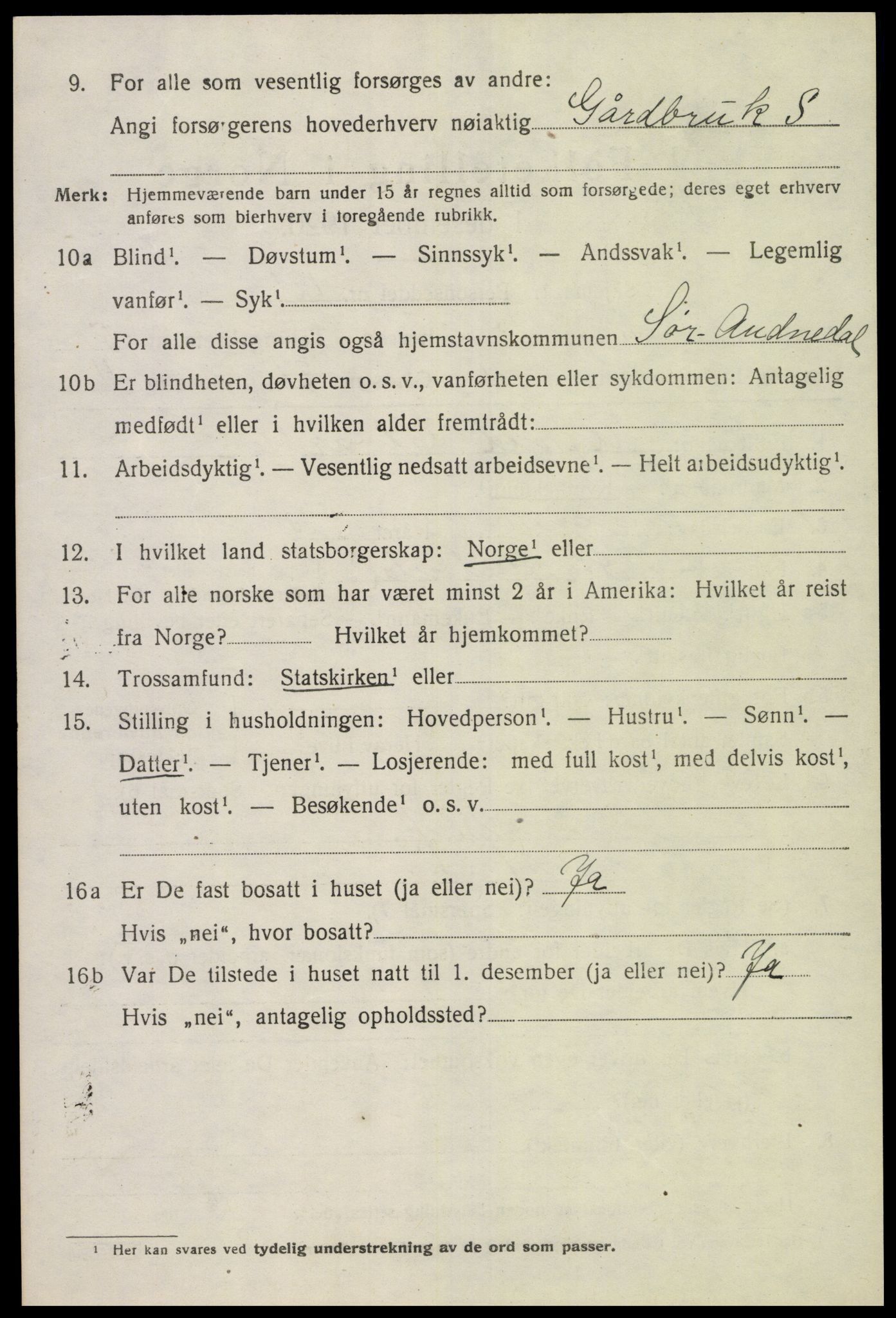 SAK, 1920 census for Sør-Audnedal, 1920, p. 2596