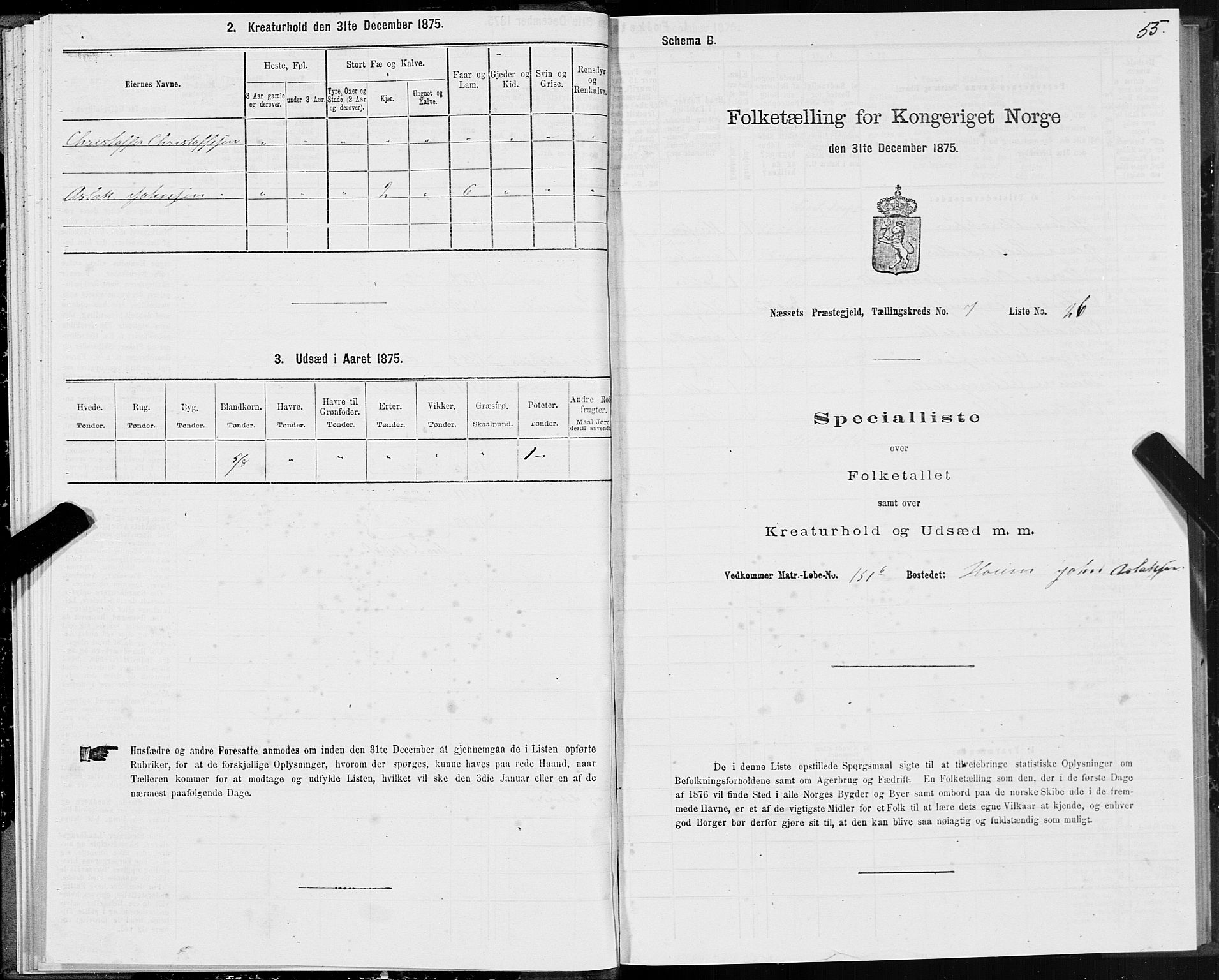 SAT, 1875 census for 1543P Nesset, 1875, p. 4055