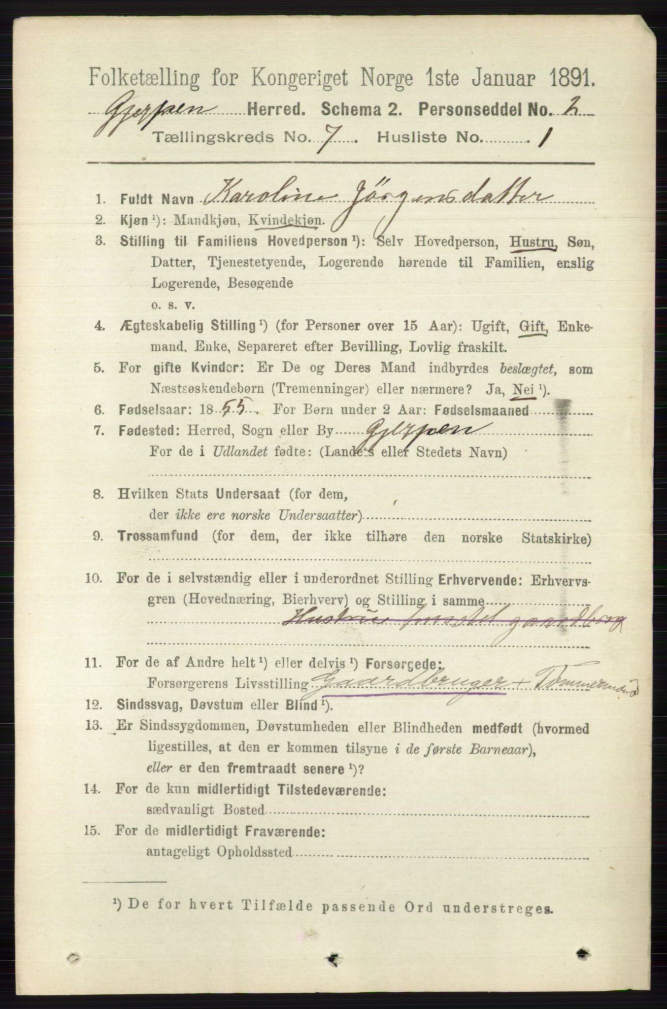 RA, 1891 census for 0812 Gjerpen, 1891, p. 3405
