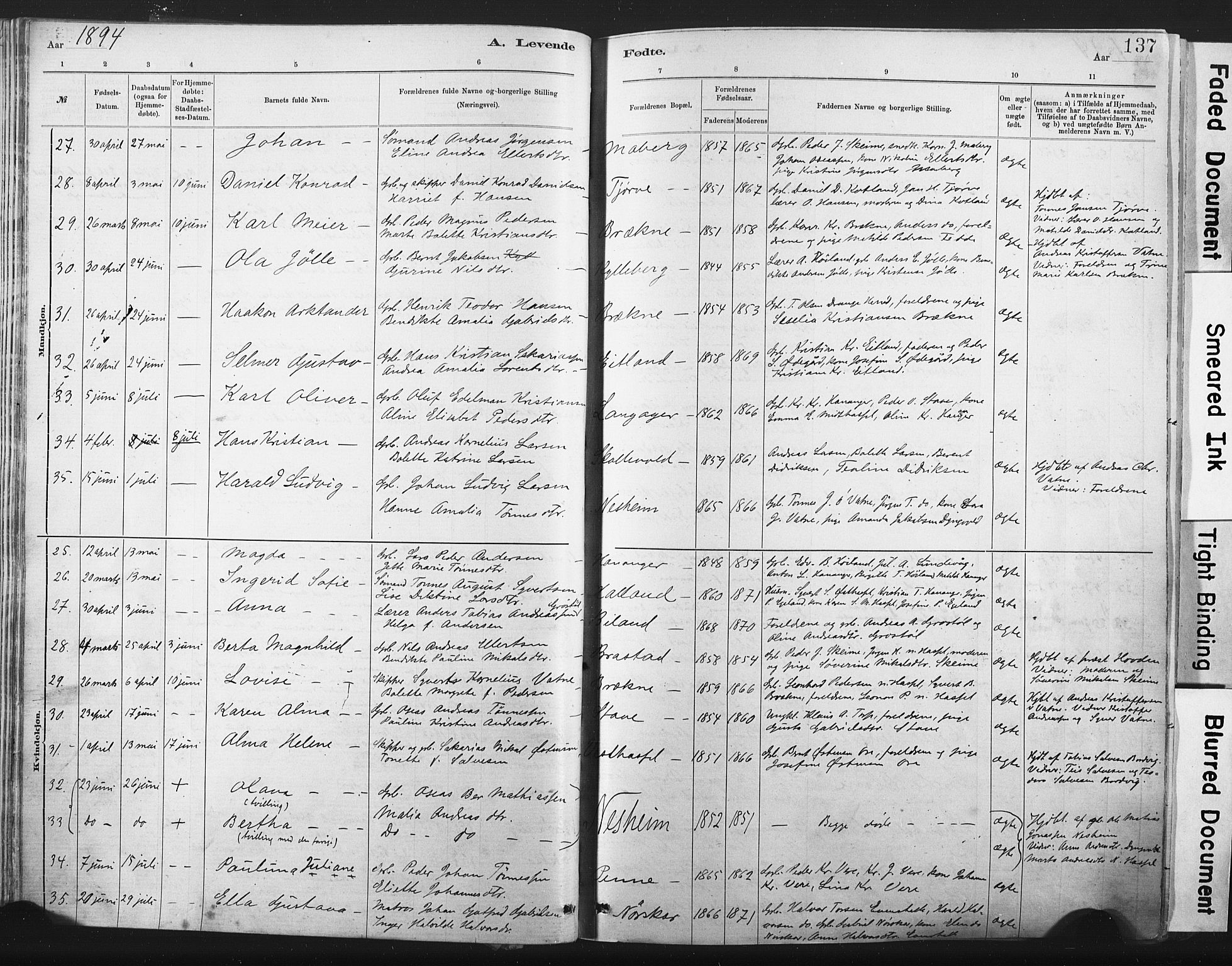 Lista sokneprestkontor, AV/SAK-1111-0027/F/Fa/L0012: Parish register (official) no. A 12, 1879-1903, p. 137