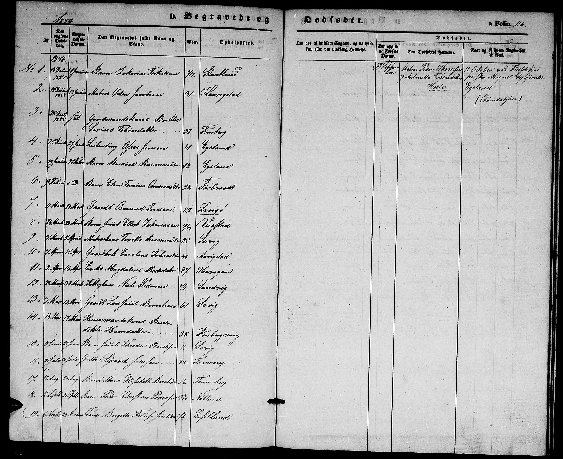 Herad sokneprestkontor, AV/SAK-1111-0018/F/Fb/Fbb/L0002: Parish register (copy) no. B 2, 1853-1871, p. 116