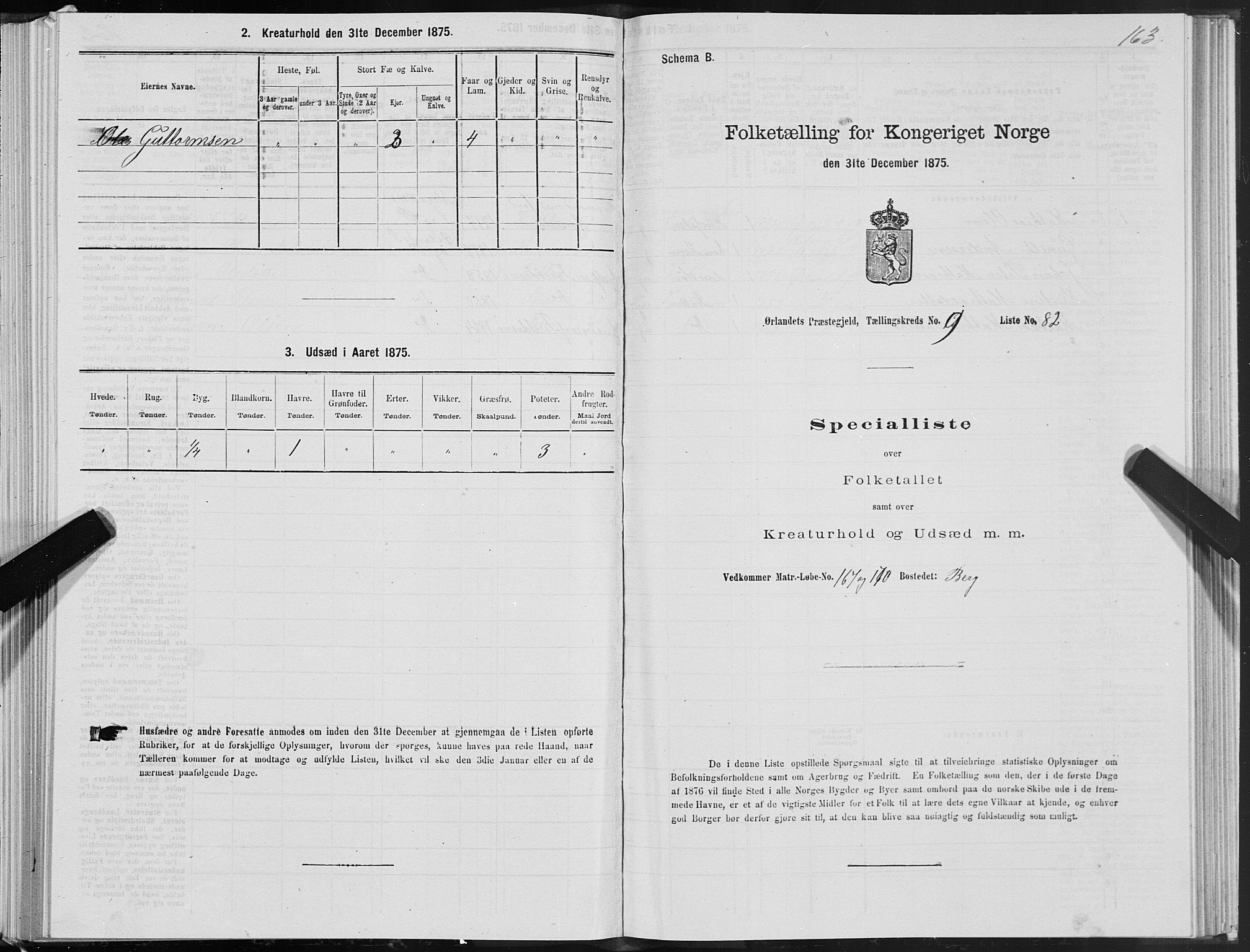 SAT, 1875 census for 1621P Ørland, 1875, p. 6163