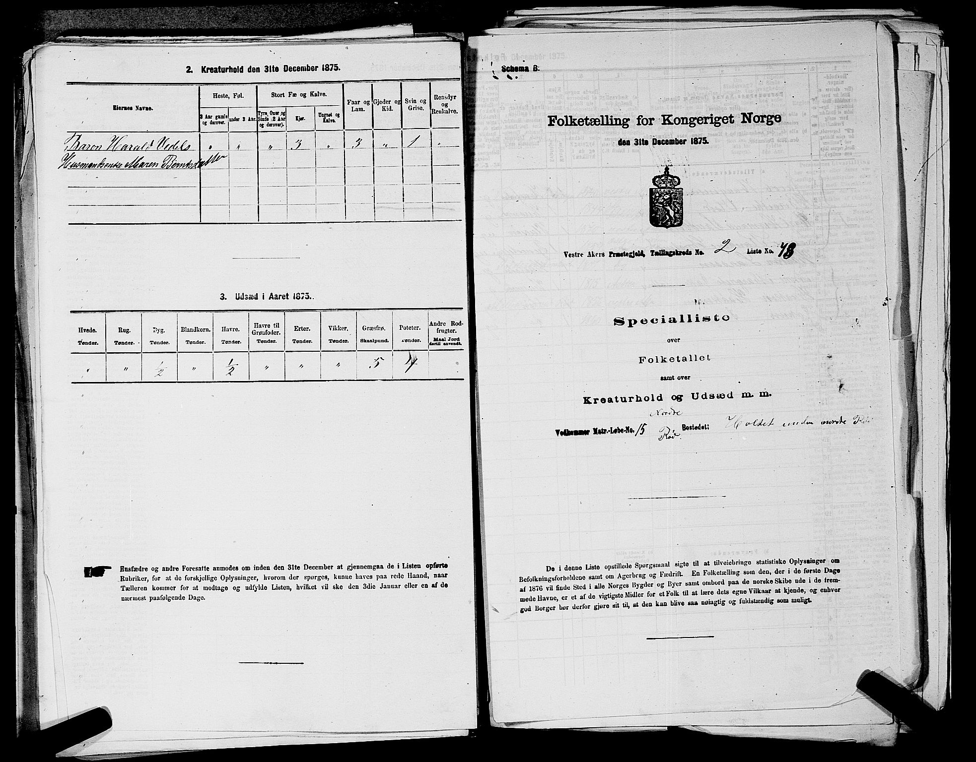 RA, 1875 census for 0218aP Vestre Aker, 1875, p. 677