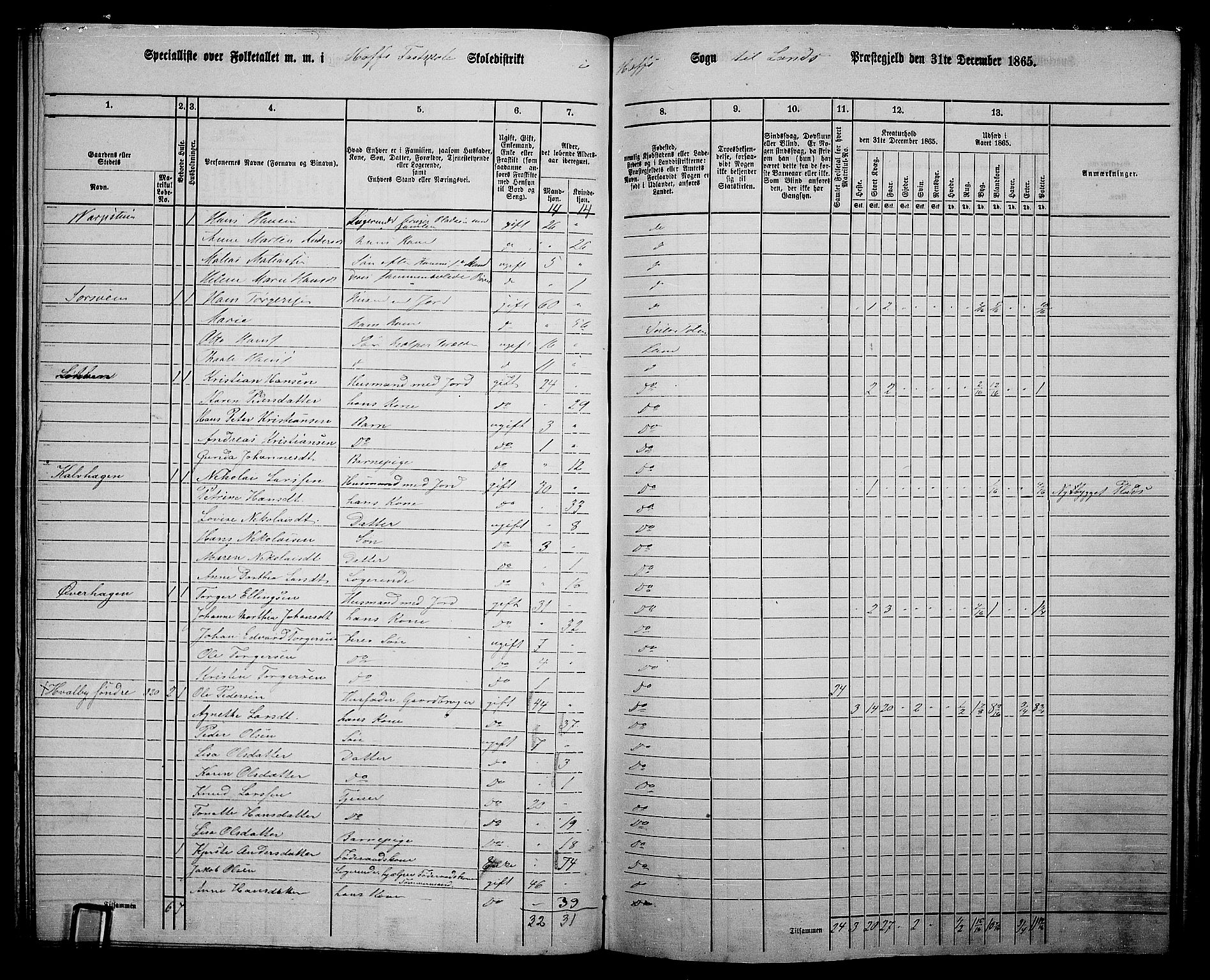 RA, 1865 census for Land, 1865, p. 357