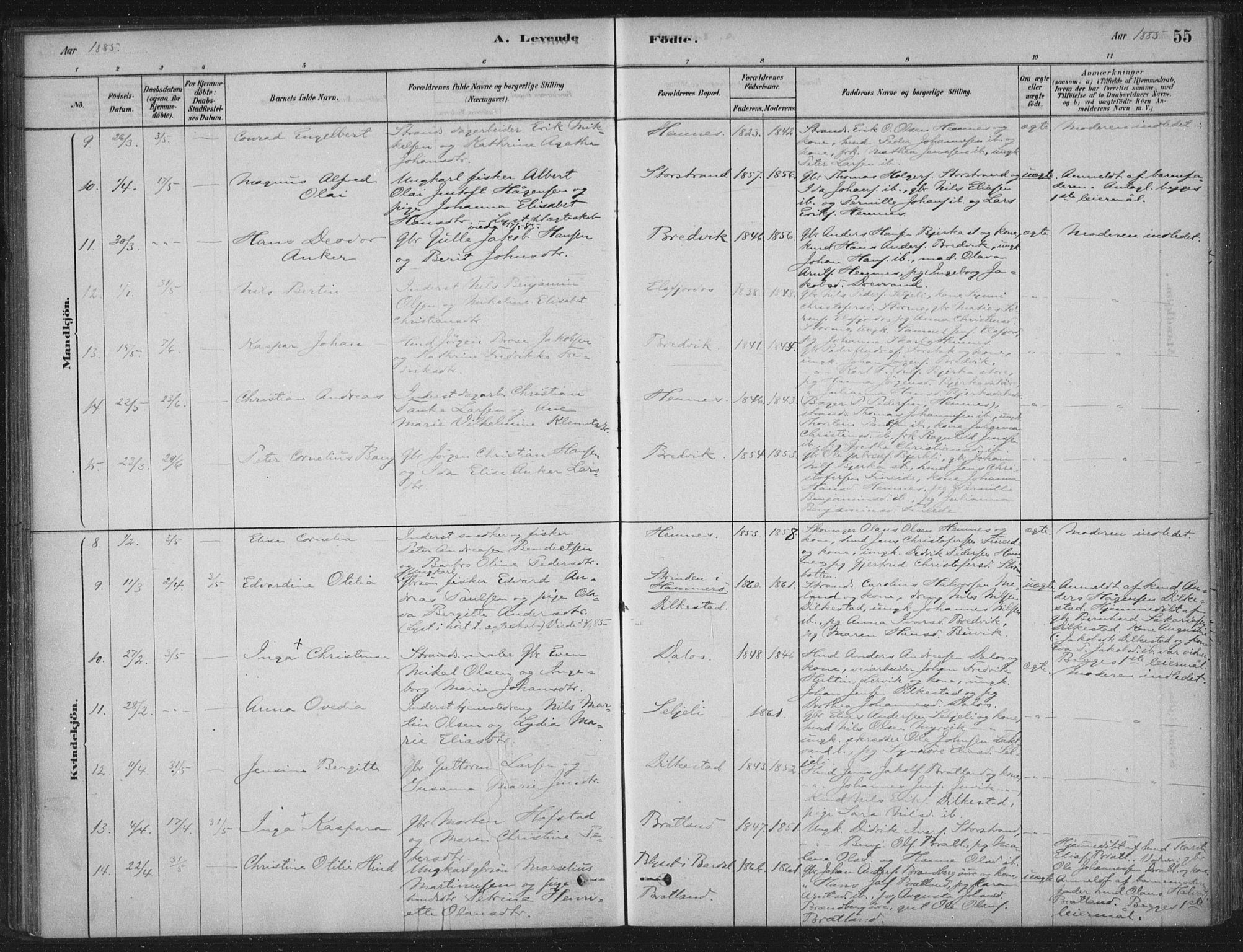 Ministerialprotokoller, klokkerbøker og fødselsregistre - Nordland, AV/SAT-A-1459/825/L0361: Parish register (official) no. 825A15, 1878-1893, p. 55