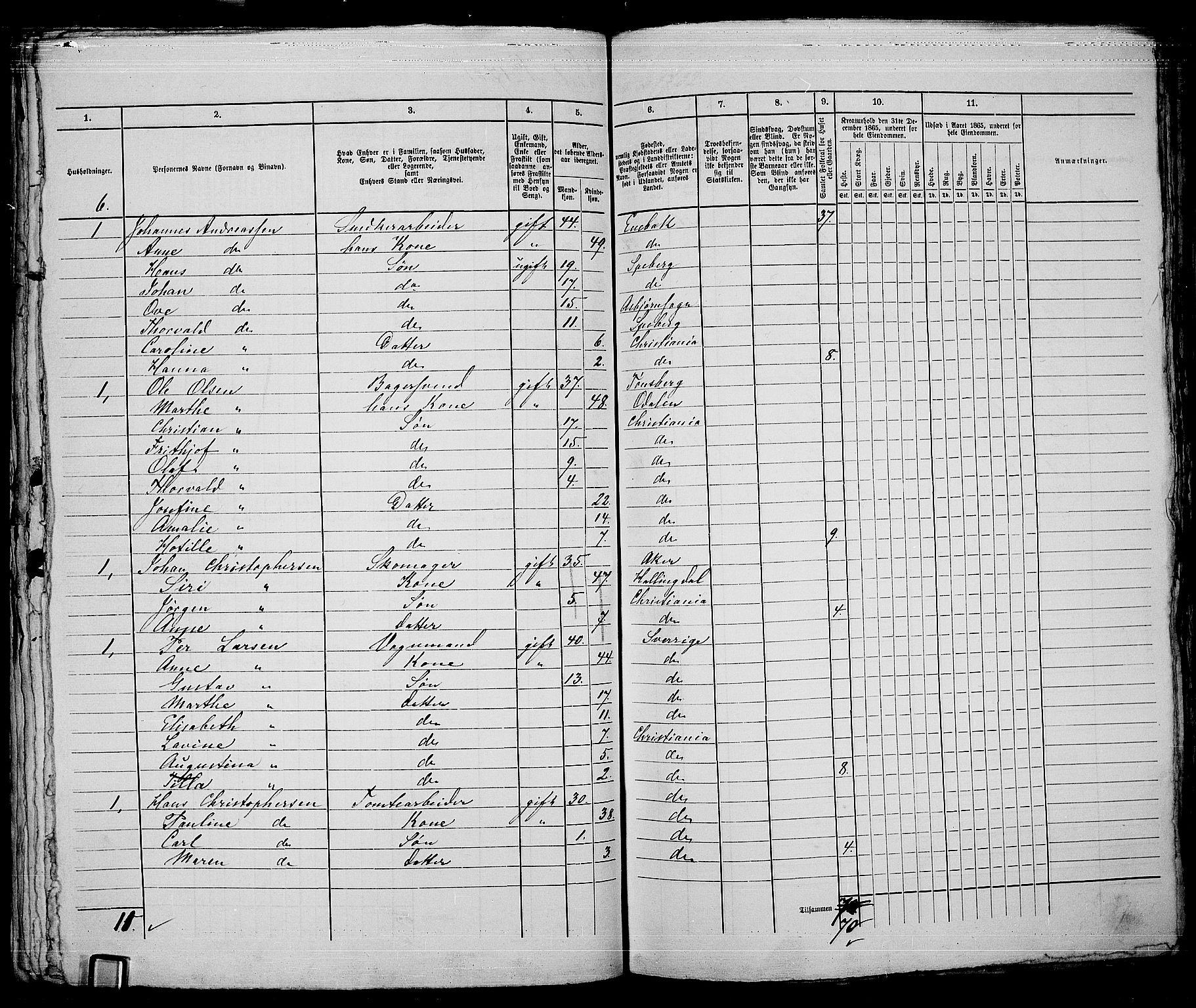 RA, 1865 census for Kristiania, 1865, p. 3844