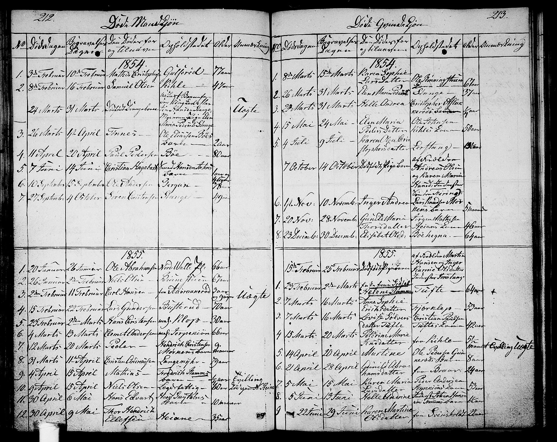 Ramnes kirkebøker, SAKO/A-314/G/Ga/L0002: Parish register (copy) no. I 2, 1848-1870, p. 212-213