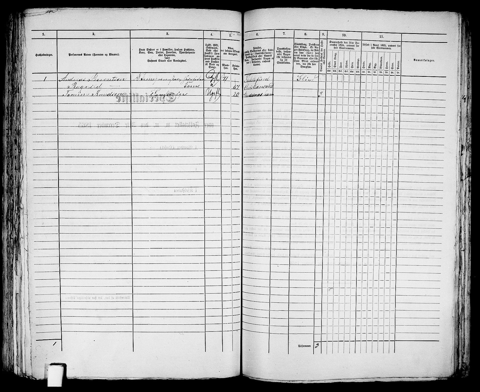 RA, 1865 census for Kristiansand, 1865, p. 371