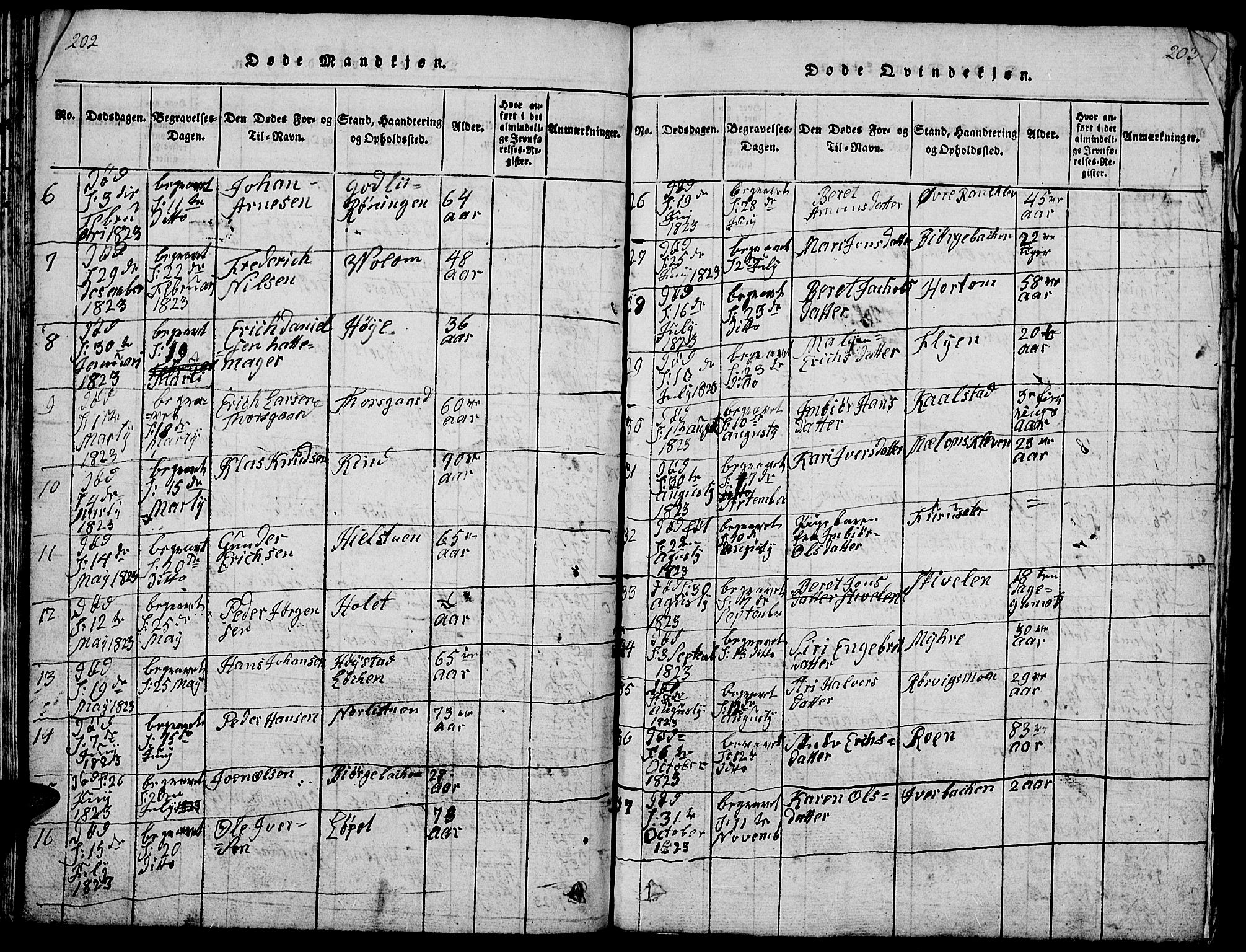 Ringebu prestekontor, SAH/PREST-082/H/Ha/Hab/L0001: Parish register (copy) no. 1, 1821-1839, p. 202-203