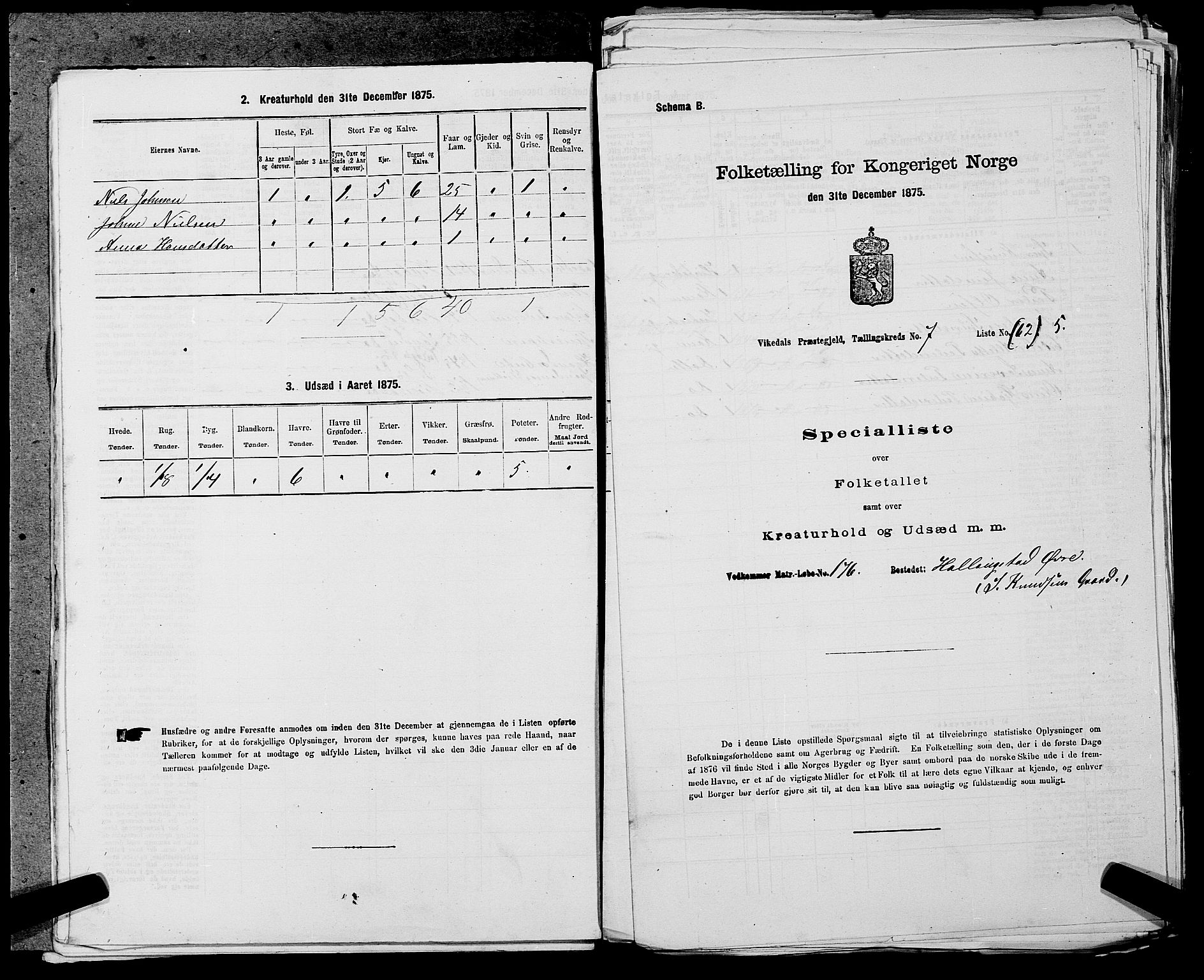 SAST, 1875 census for 1157P Vikedal, 1875, p. 776