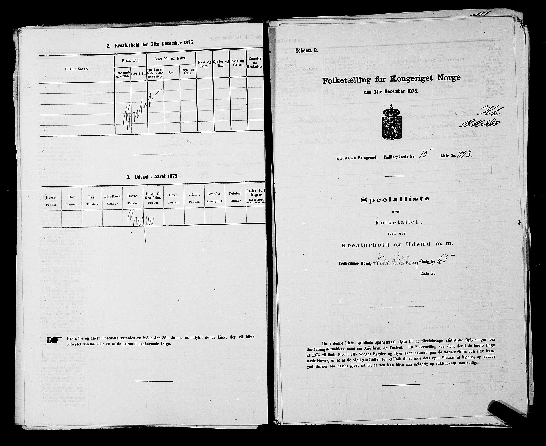 SAKO, 1875 census for 0805P Porsgrunn, 1875, p. 735