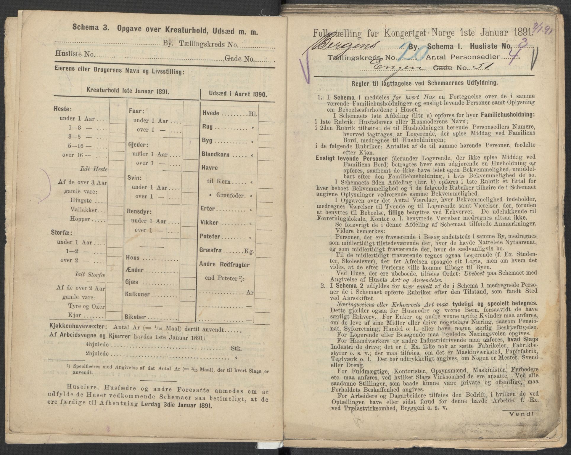 RA, 1891 Census for 1301 Bergen, 1891, p. 3155