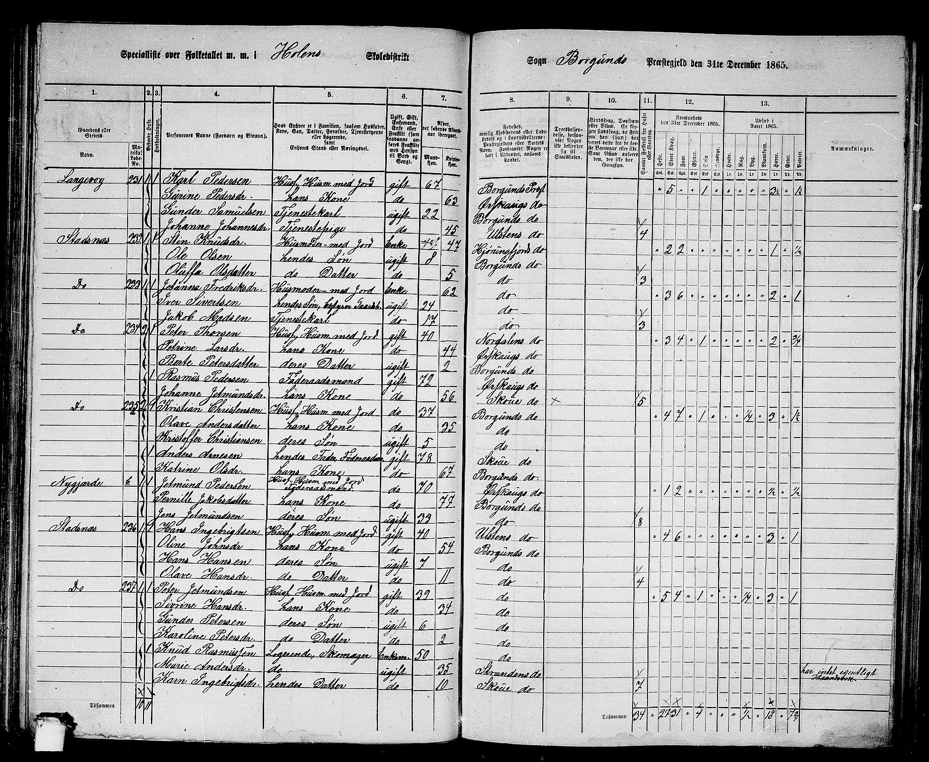 RA, 1865 census for Borgund, 1865, p. 118