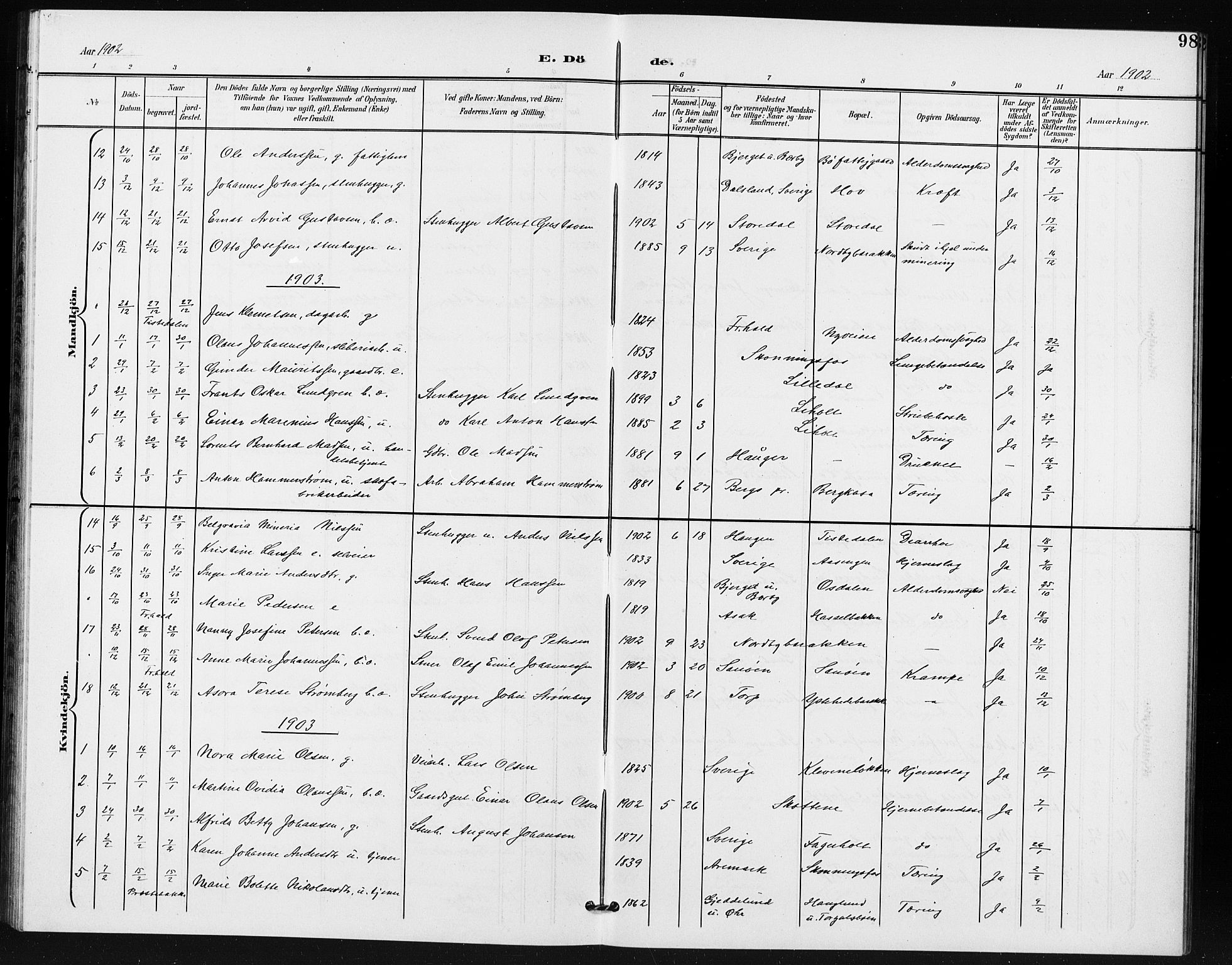 Idd prestekontor Kirkebøker, SAO/A-10911/G/Gb/L0001: Parish register (copy) no. II 1, 1901-1907, p. 98
