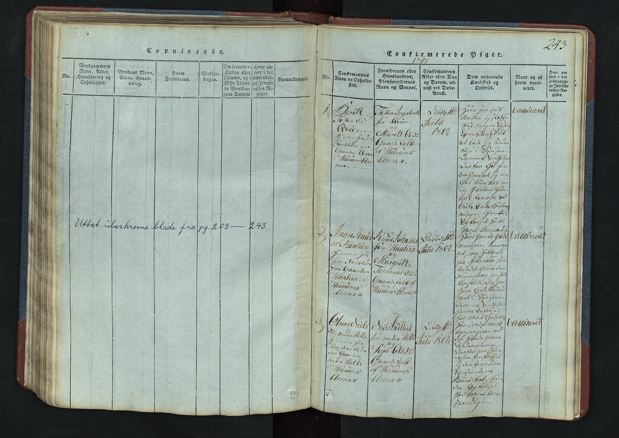 Vang prestekontor, Valdres, SAH/PREST-140/H/Hb/L0003: Parish register (copy) no. 3, 1814-1892, p. 243