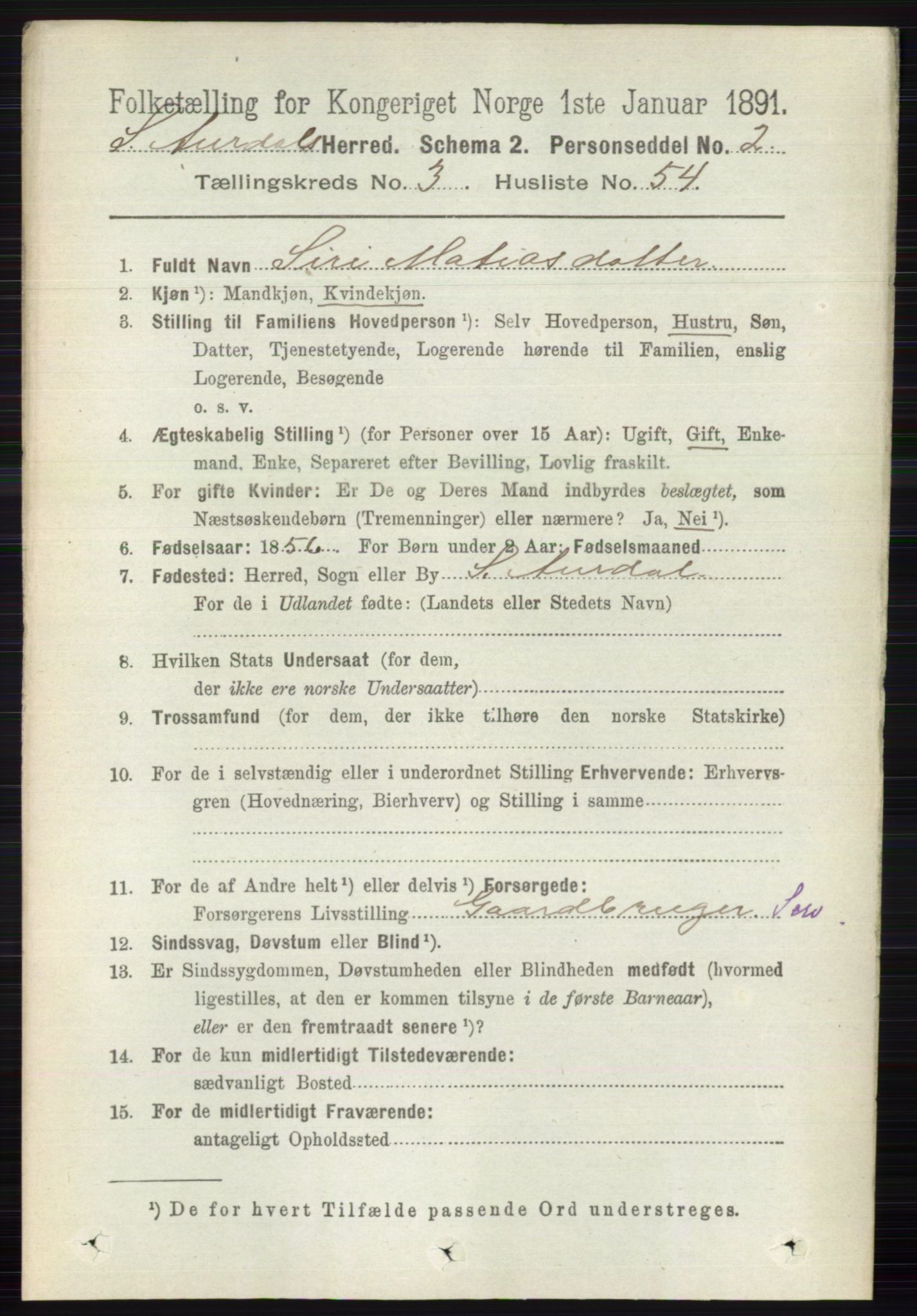 RA, 1891 census for 0540 Sør-Aurdal, 1891, p. 2007