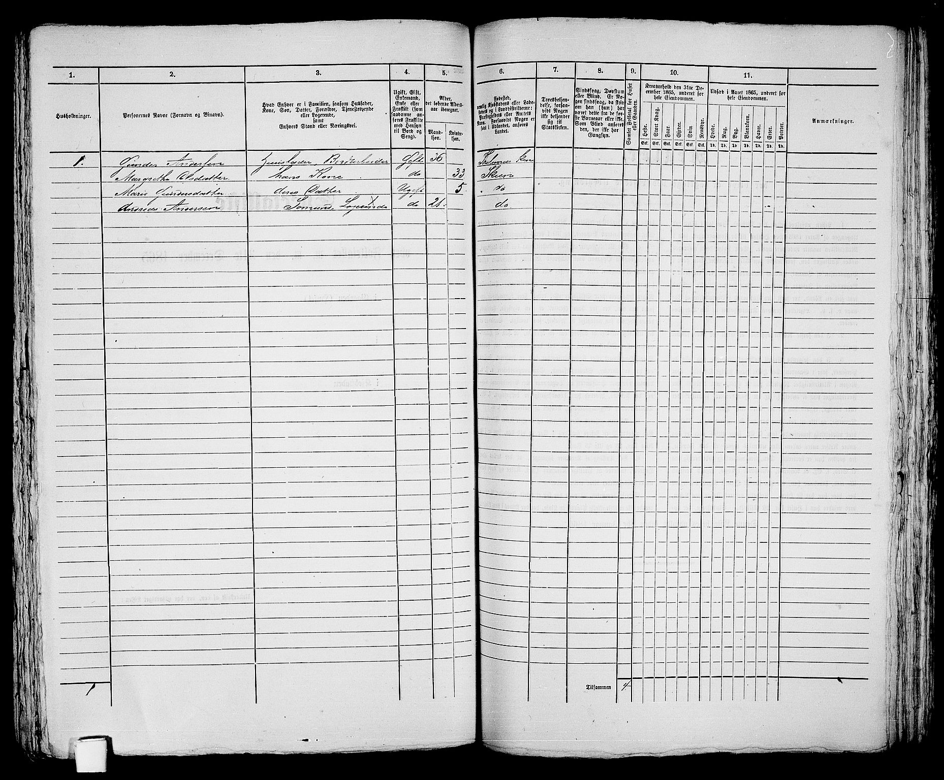 RA, 1865 census for Skien, 1865, p. 717