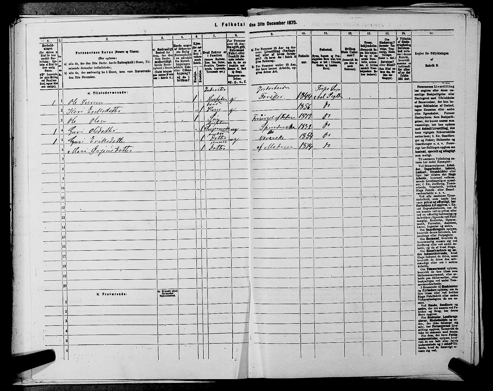 SAKO, 1875 census for 0619P Ål, 1875, p. 237