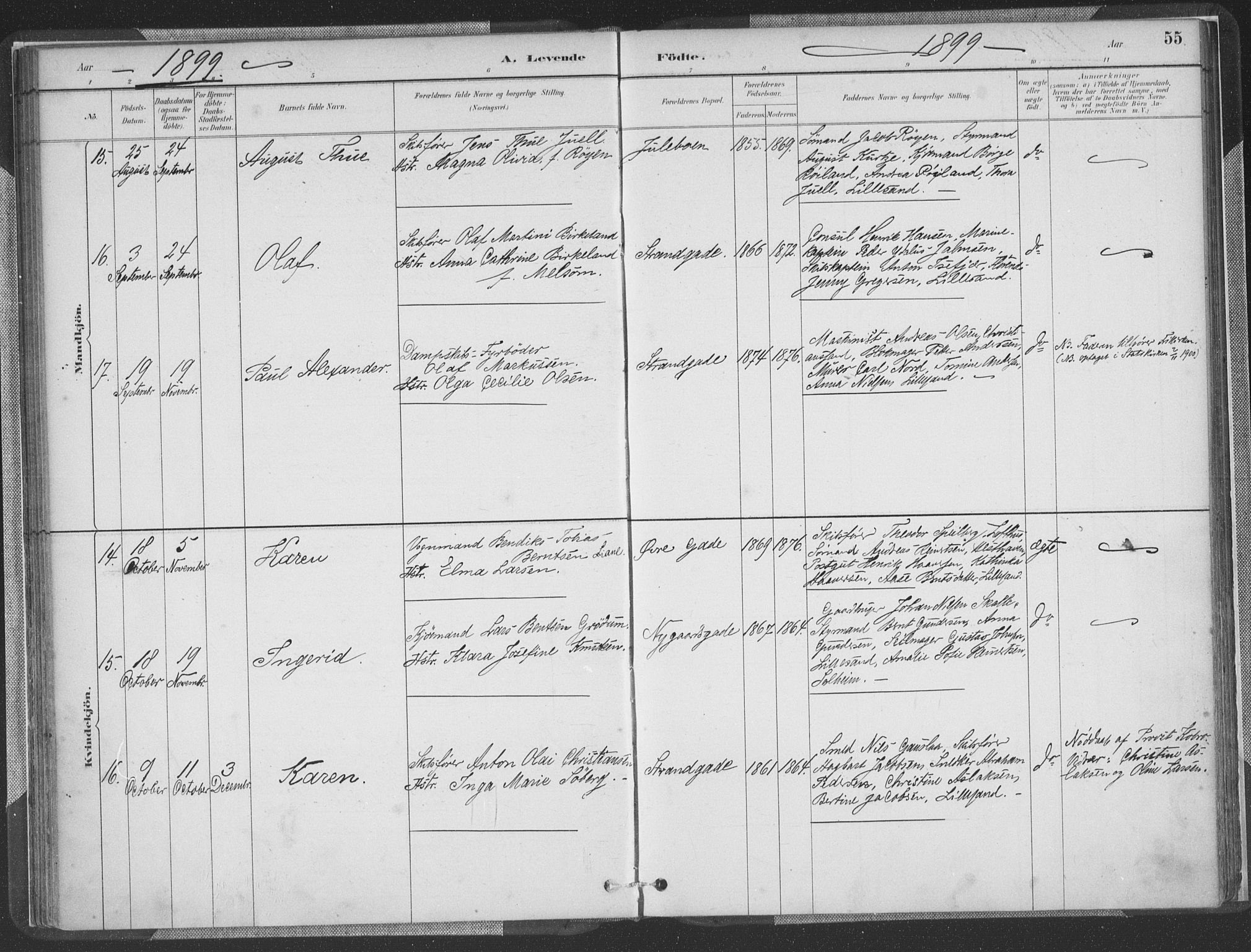 Vestre Moland sokneprestkontor, AV/SAK-1111-0046/F/Fa/Faa/L0001: Parish register (official) no. A 1, 1884-1899, p. 55