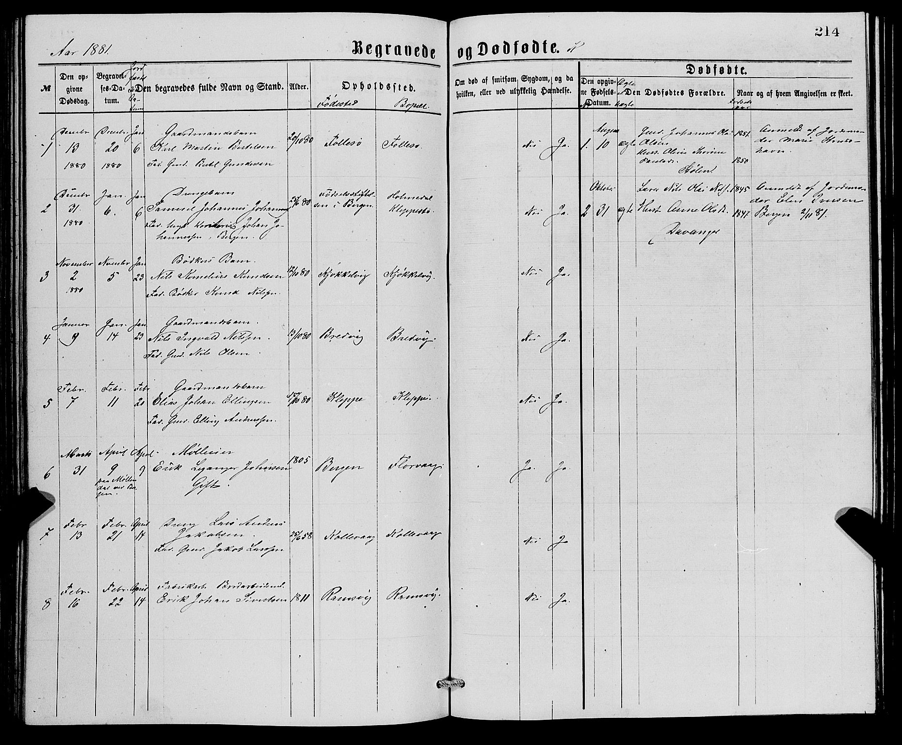 Askøy Sokneprestembete, SAB/A-74101/H/Ha/Hab/Haba/L0007: Parish register (copy) no. A 7, 1871-1881, p. 214