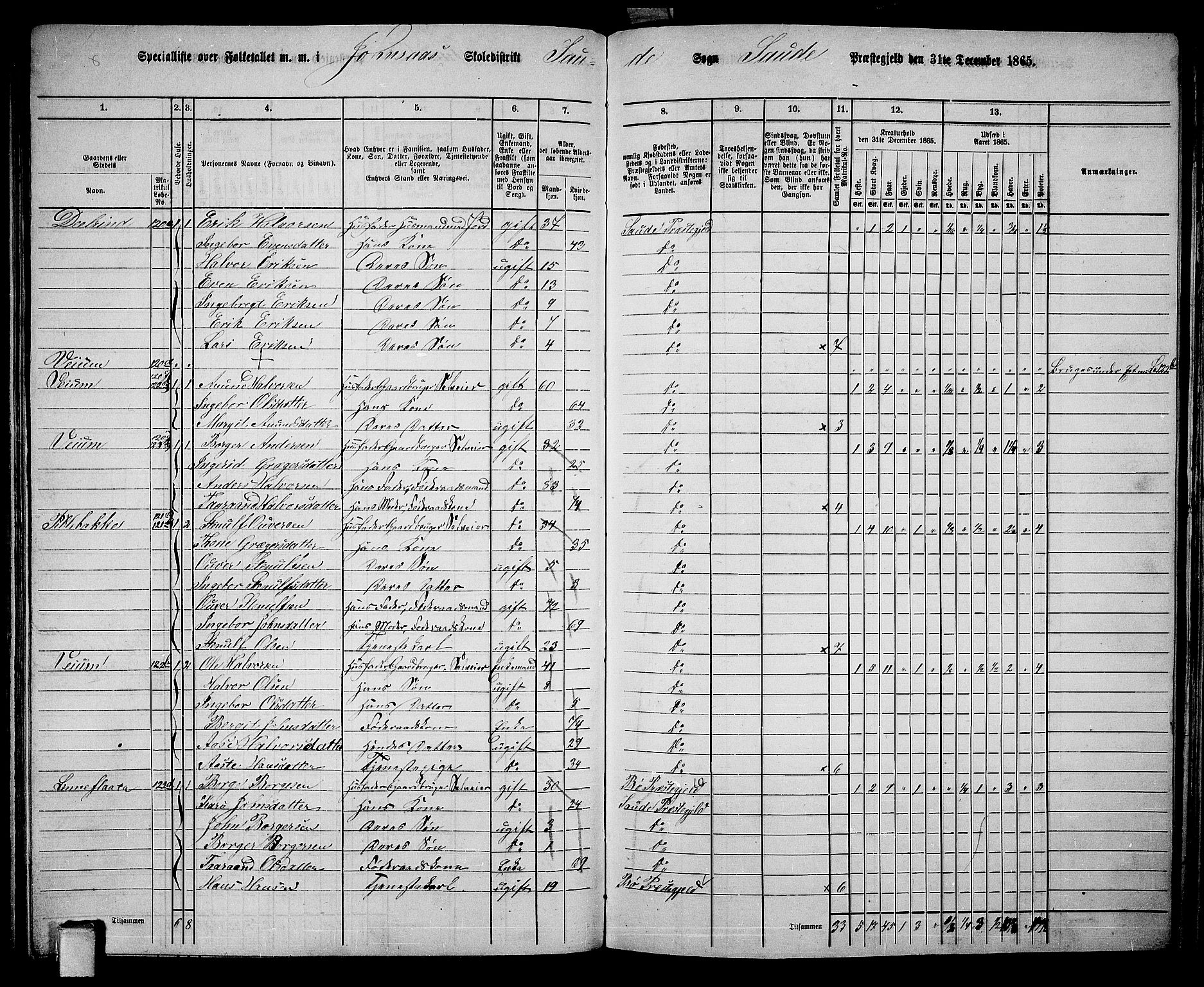 RA, 1865 census for Sauherad, 1865, p. 102