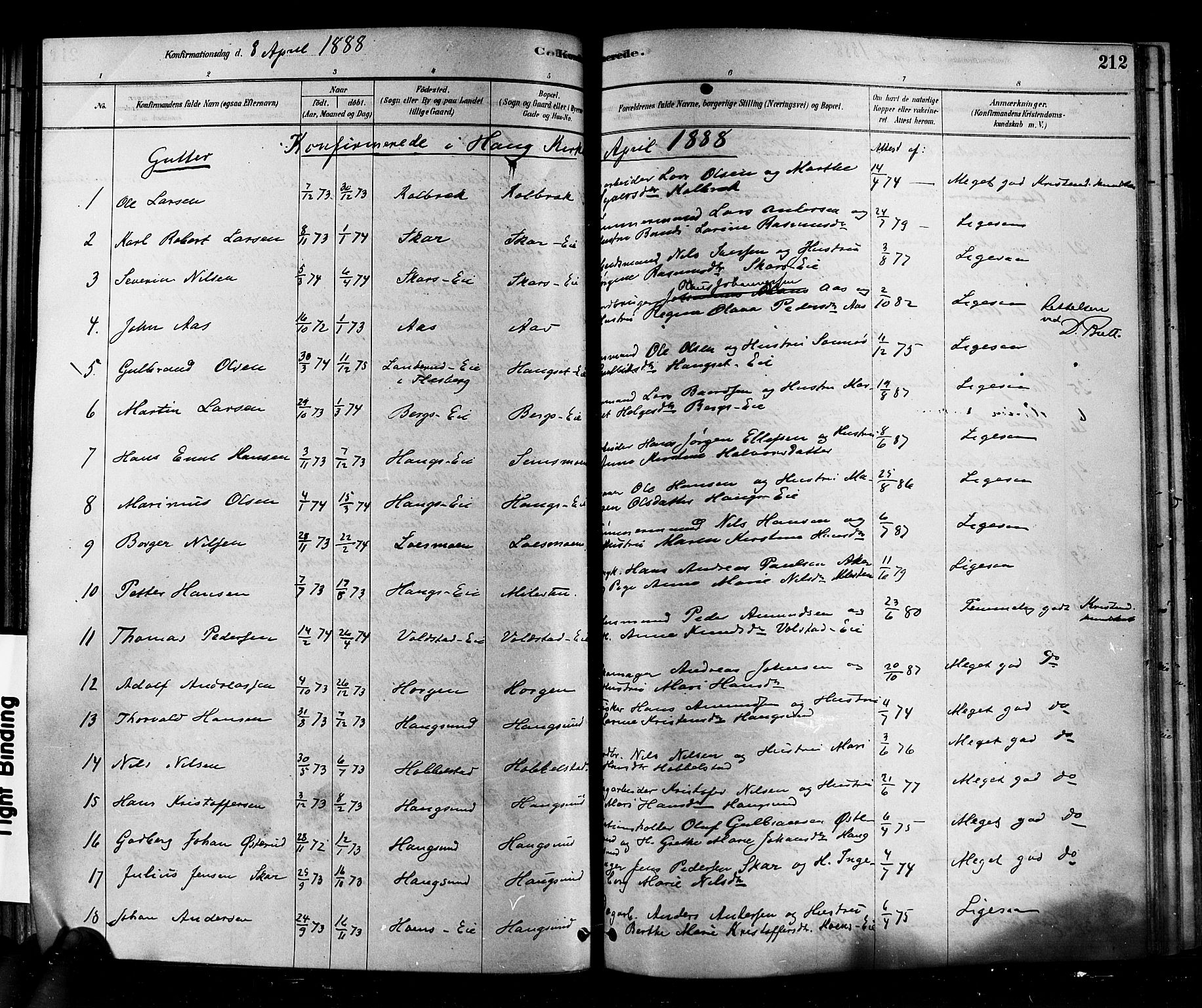Eiker kirkebøker, SAKO/A-4/F/Fb/L0001: Parish register (official) no. II 1, 1878-1888, p. 212
