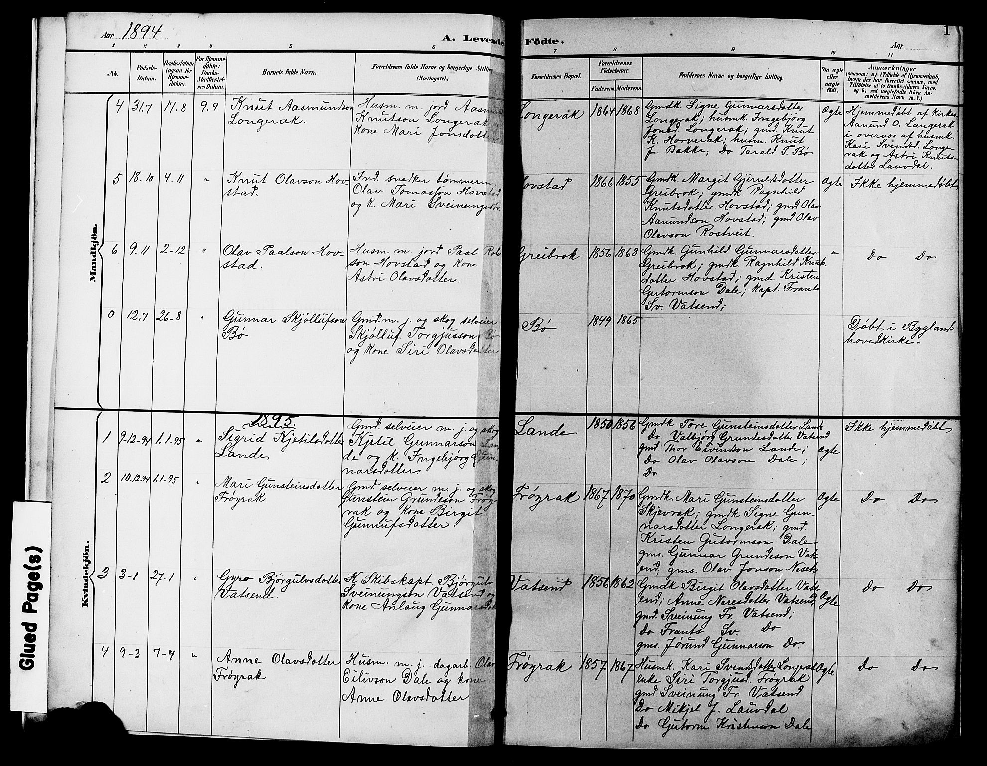 Bygland sokneprestkontor, AV/SAK-1111-0006/F/Fb/Fbd/L0002: Parish register (copy) no. B 2, 1894-1909, p. 1