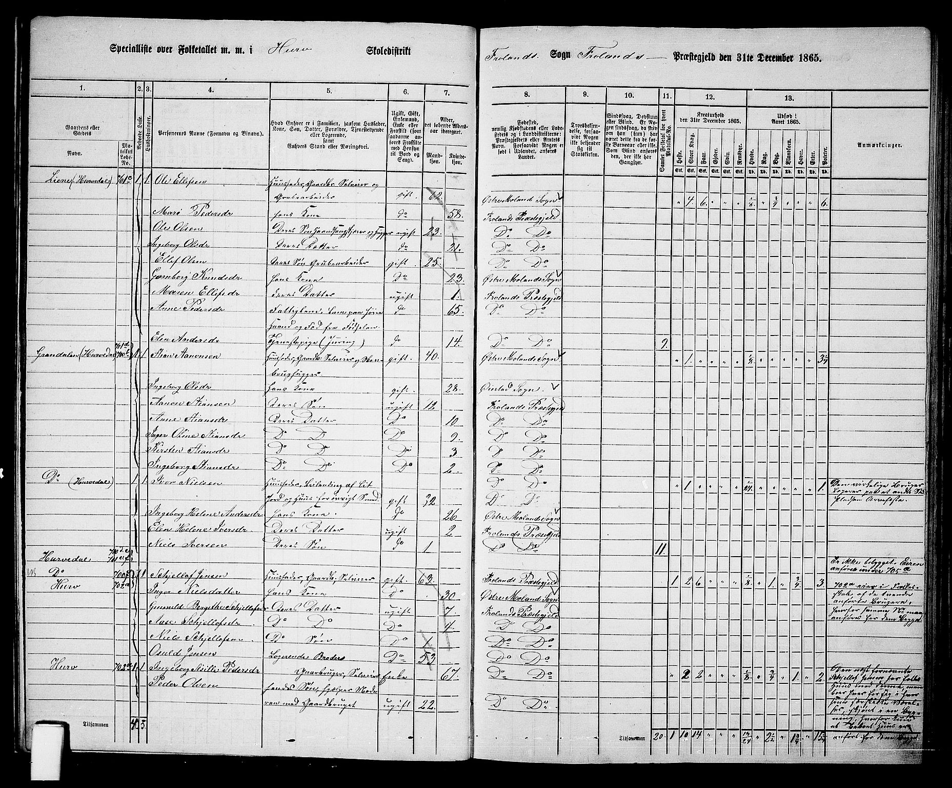 RA, 1865 census for Froland, 1865, p. 14