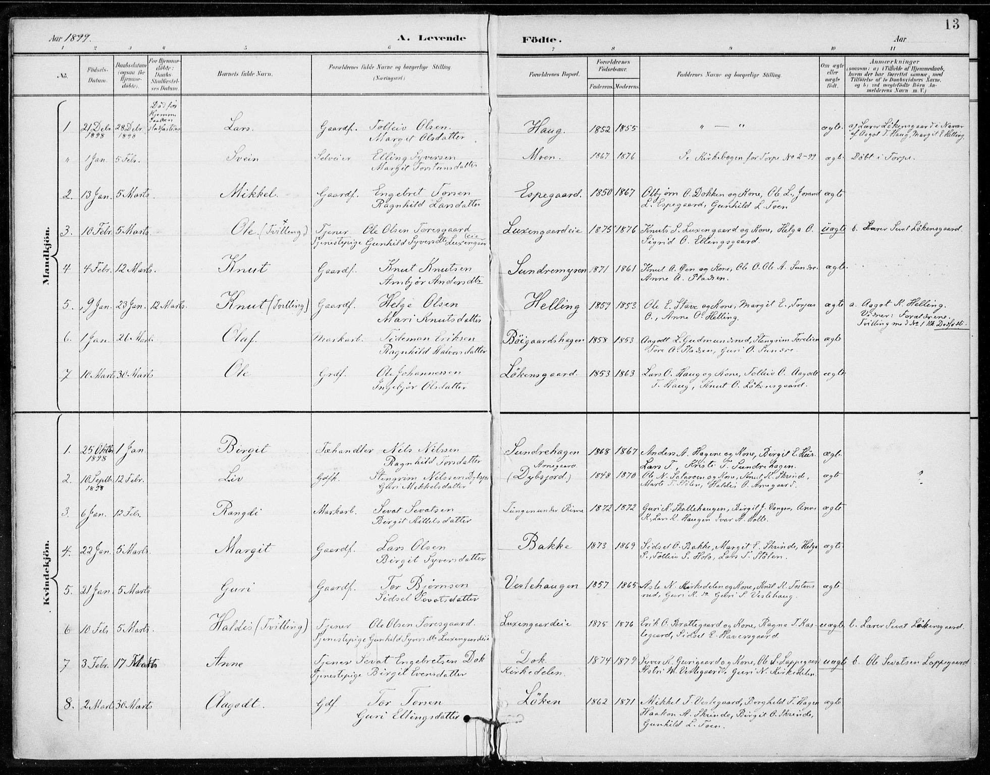 Ål kirkebøker, SAKO/A-249/F/Fa/L0009: Parish register (official) no. I 9, 1897-1915, p. 13