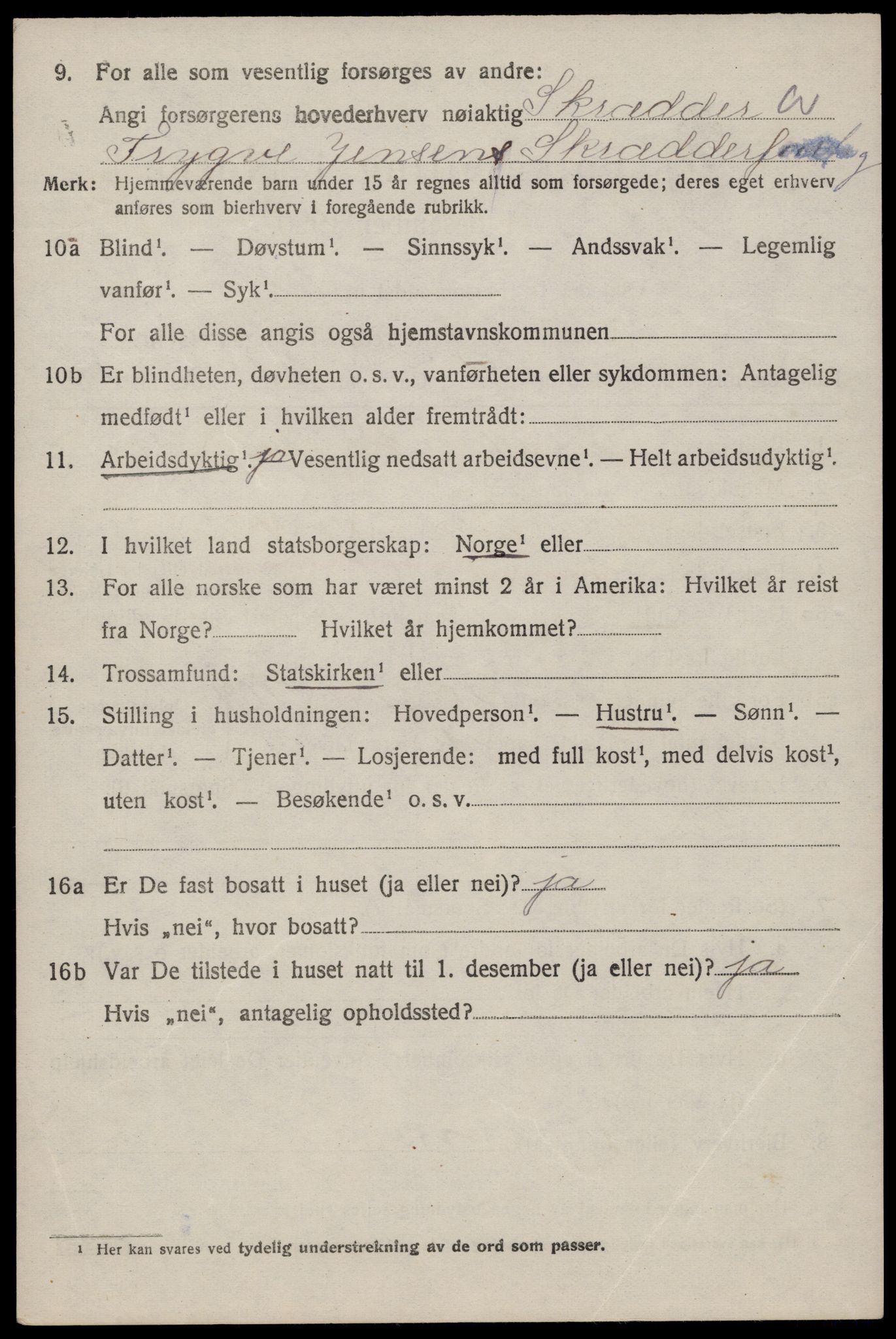 SAST, 1920 census for Hetland, 1920, p. 13118