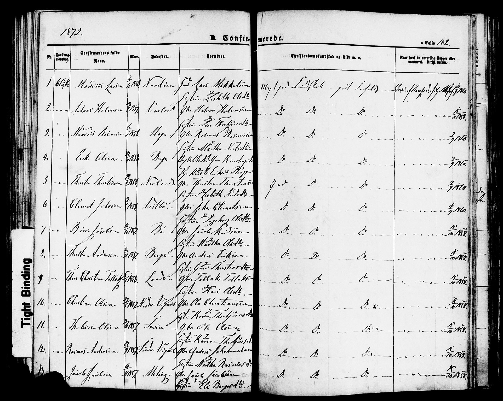 Finnøy sokneprestkontor, SAST/A-101825/H/Ha/Haa/L0008: Parish register (official) no. A 8, 1863-1878, p. 102
