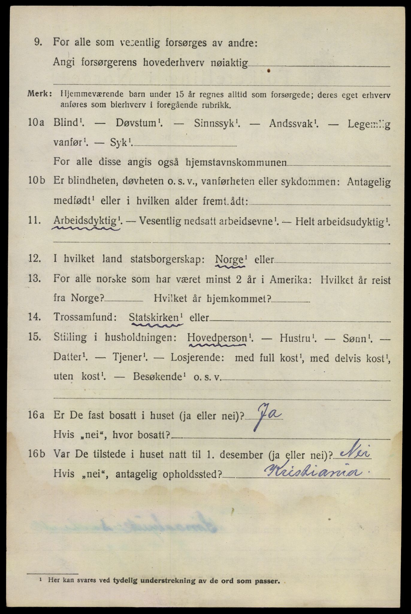 SAO, 1920 census for Nes, 1920, p. 13949