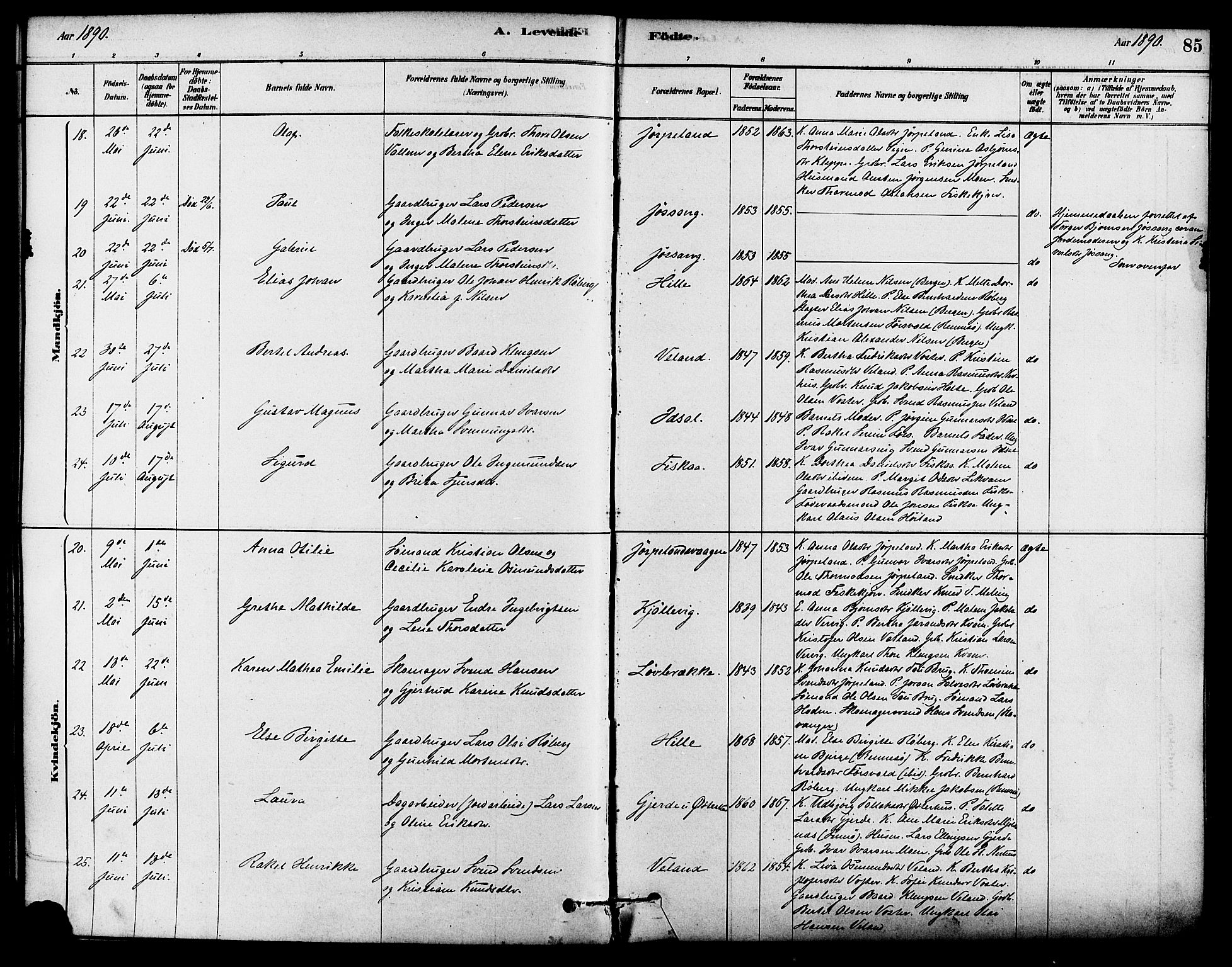 Strand sokneprestkontor, AV/SAST-A-101828/H/Ha/Haa/L0009: Parish register (official) no. A 9, 1877-1908, p. 85