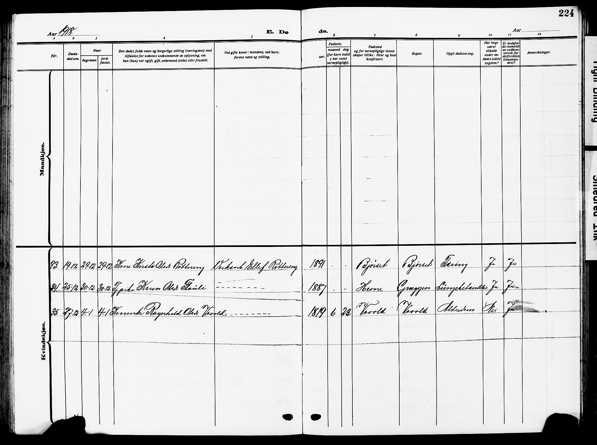 Ministerialprotokoller, klokkerbøker og fødselsregistre - Sør-Trøndelag, SAT/A-1456/672/L0865: Parish register (copy) no. 672C04, 1914-1928, p. 224