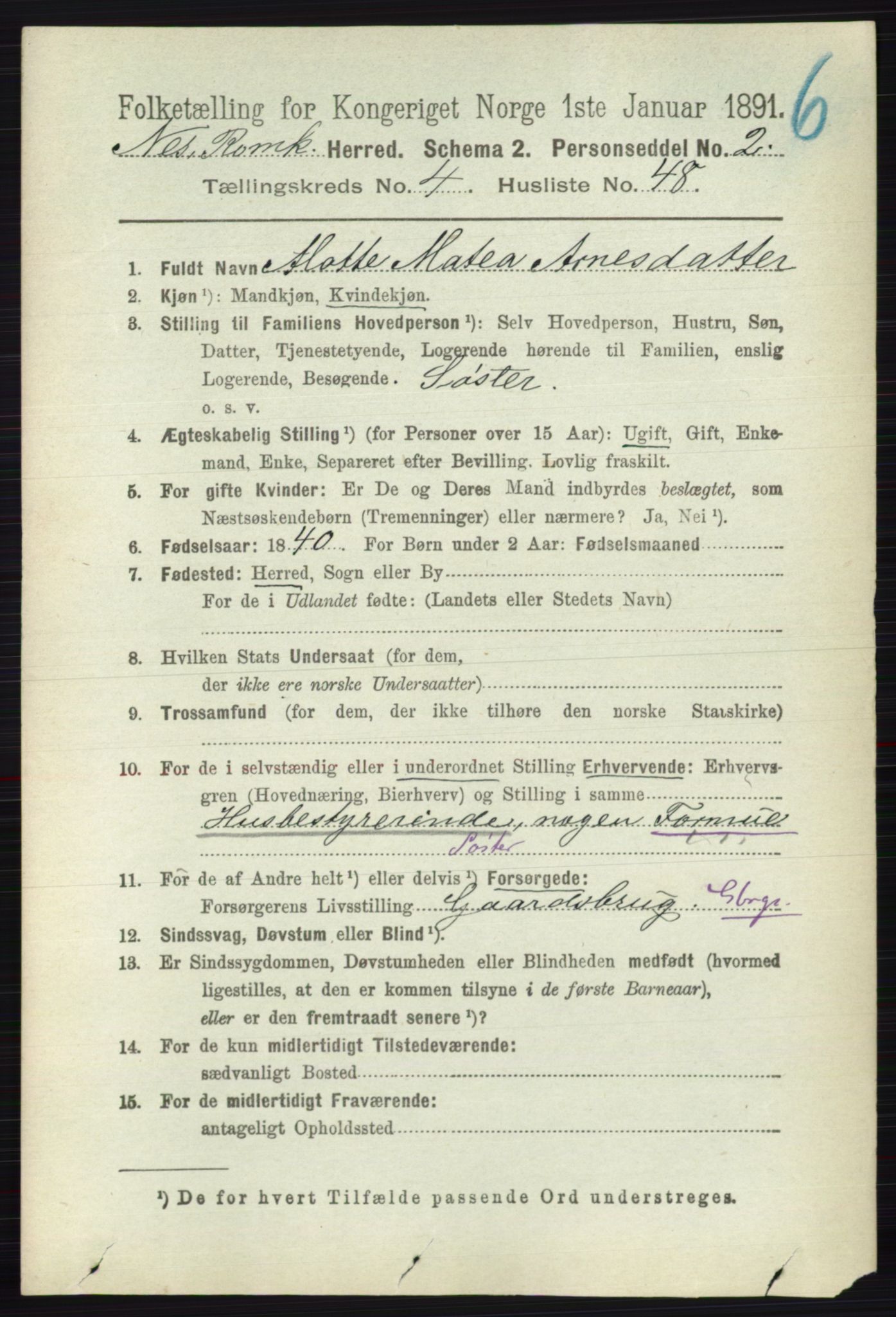 RA, 1891 census for 0236 Nes, 1891, p. 2531