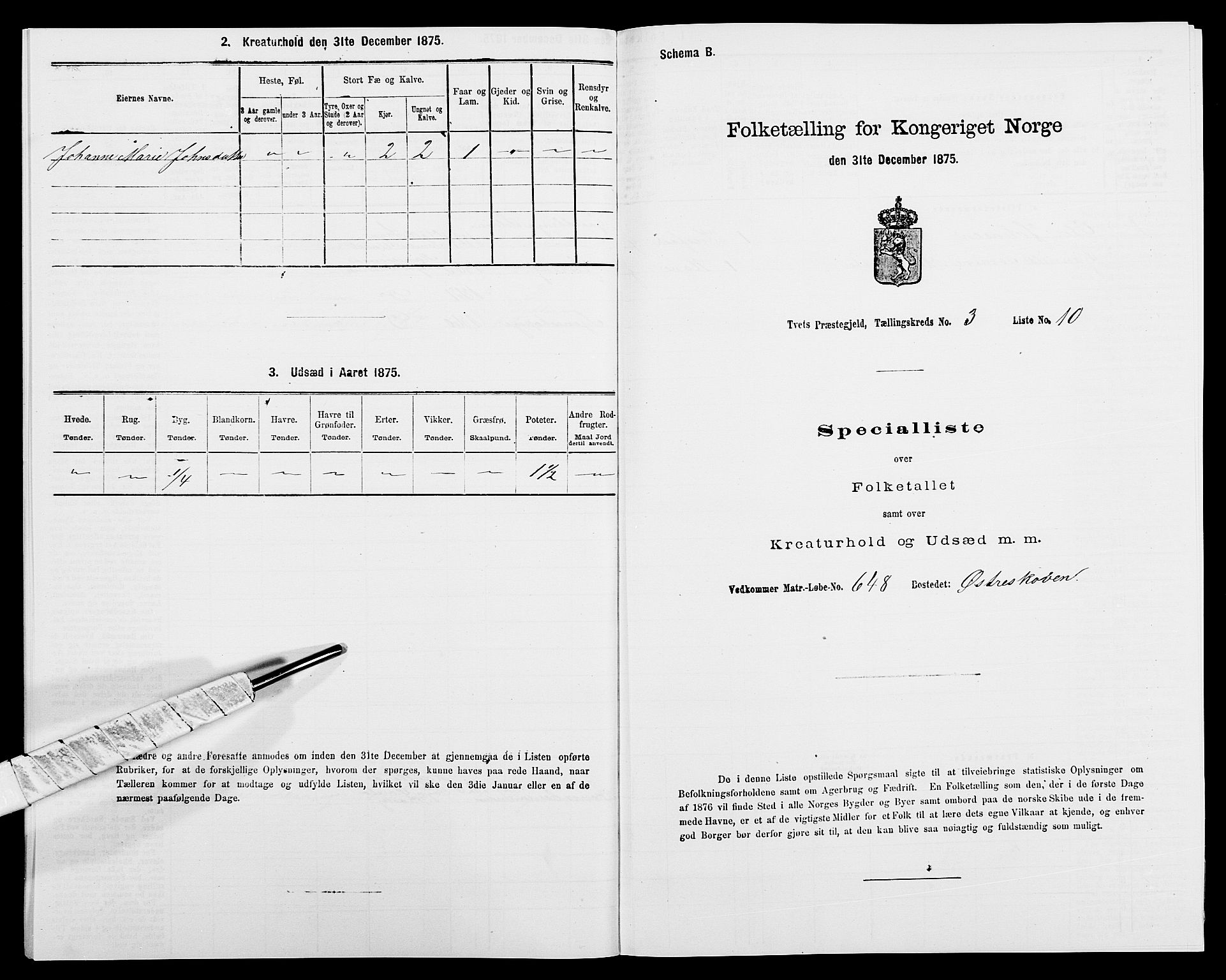 SAK, 1875 census for 1013P Tveit, 1875, p. 333