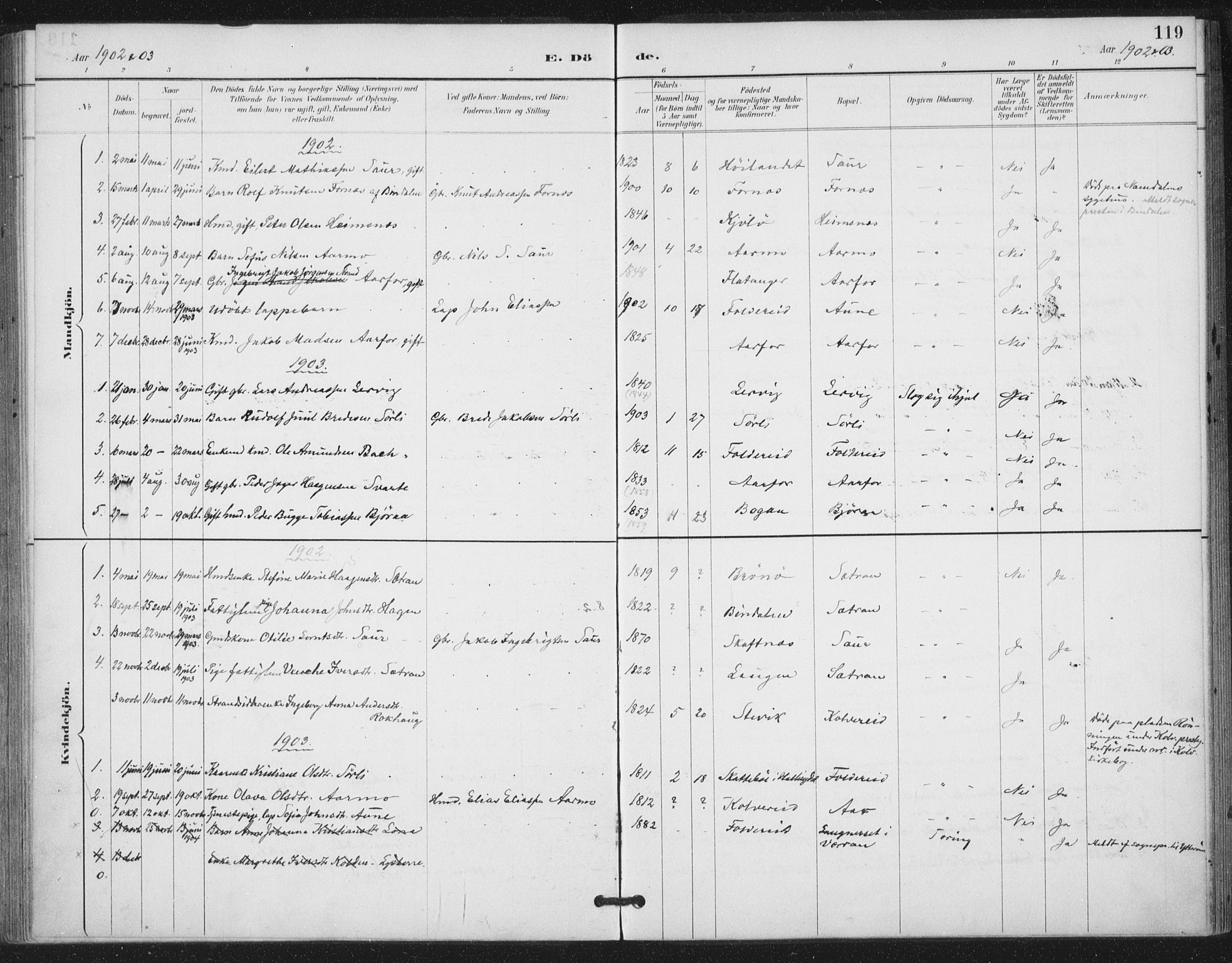 Ministerialprotokoller, klokkerbøker og fødselsregistre - Nord-Trøndelag, SAT/A-1458/783/L0660: Parish register (official) no. 783A02, 1886-1918, p. 119