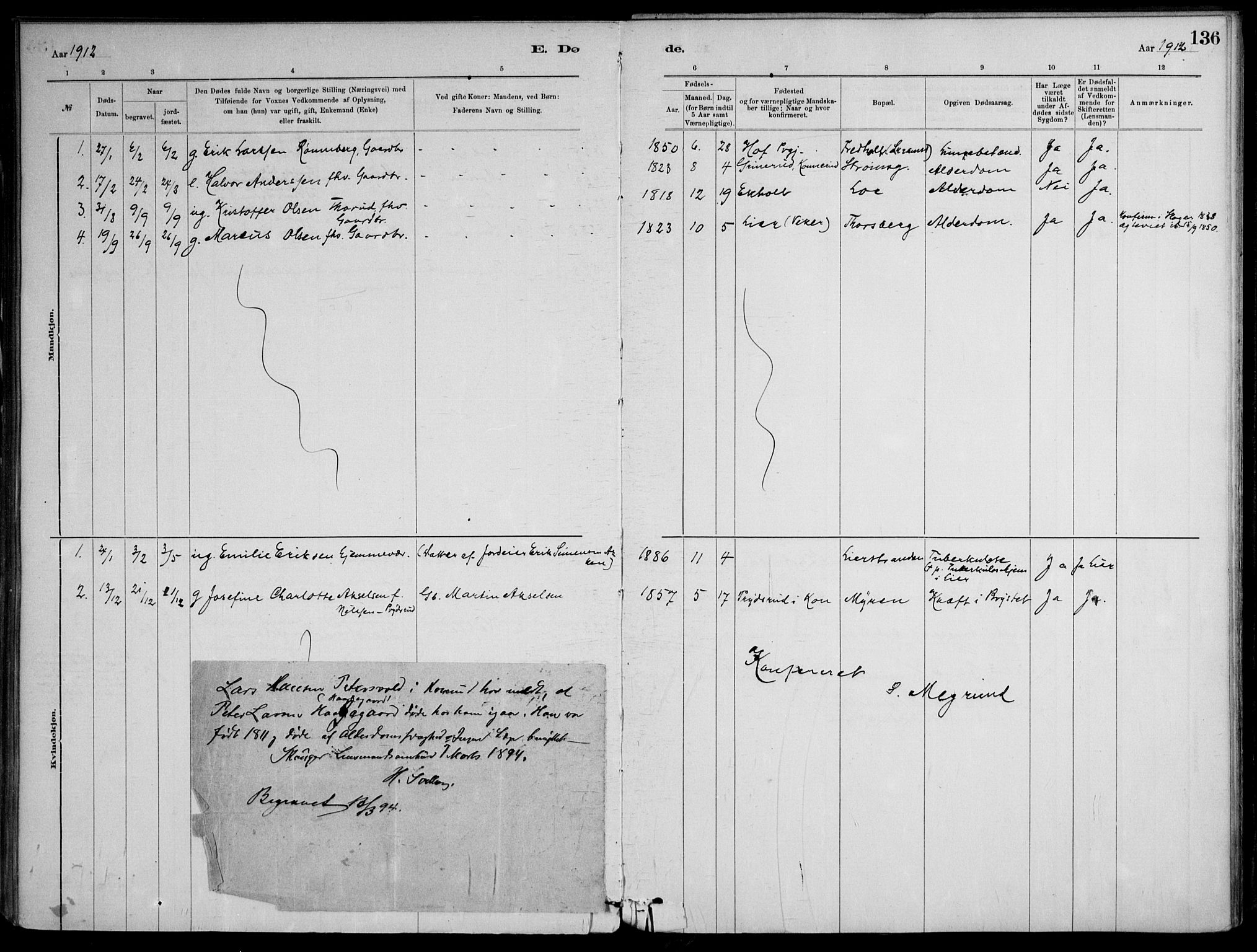 Skoger kirkebøker, SAKO/A-59/F/Fb/L0001: Parish register (official) no. II 1, 1885-1913, p. 136