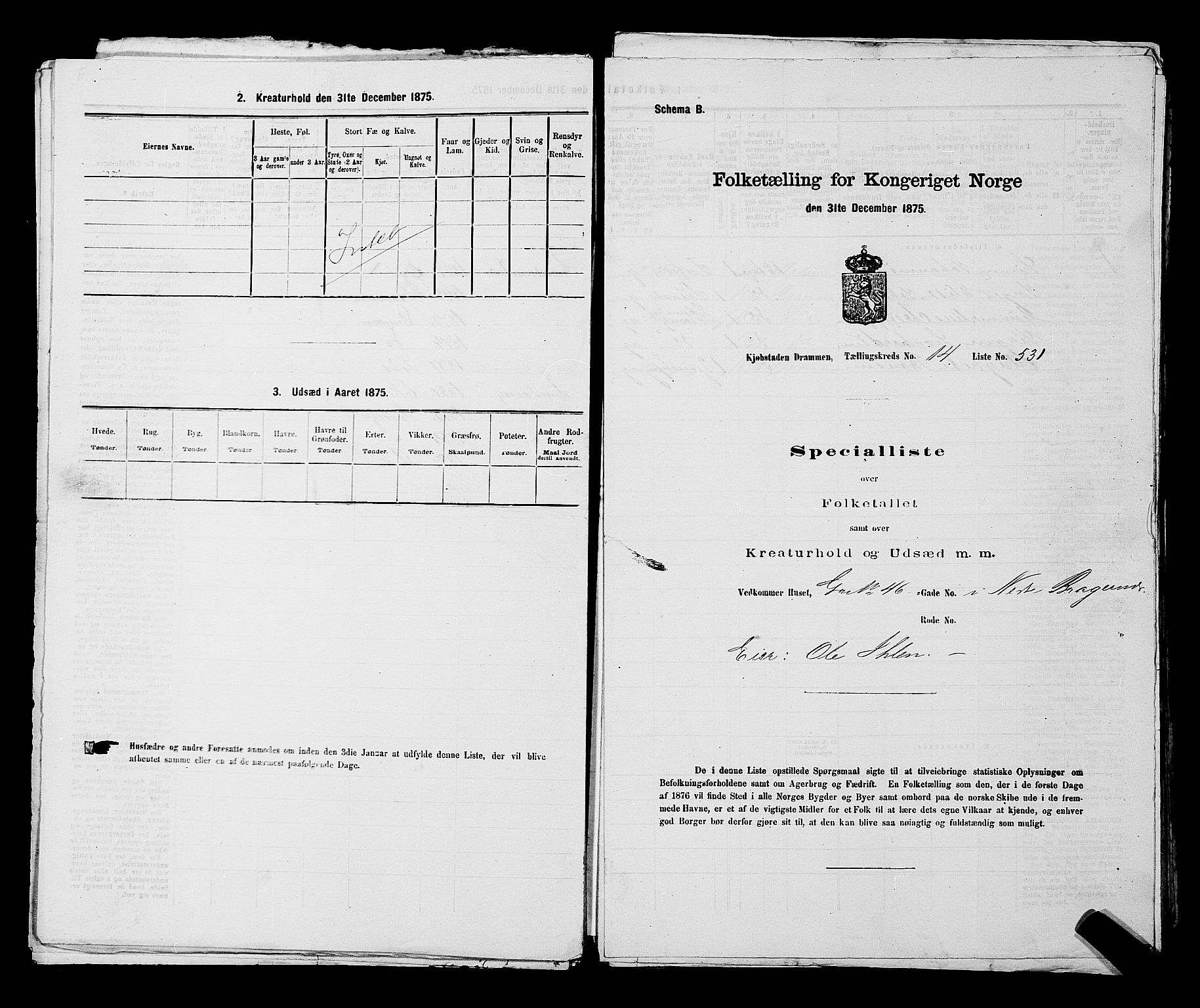 SAKO, 1875 census for 0602 Drammen, 1875, p. 1503