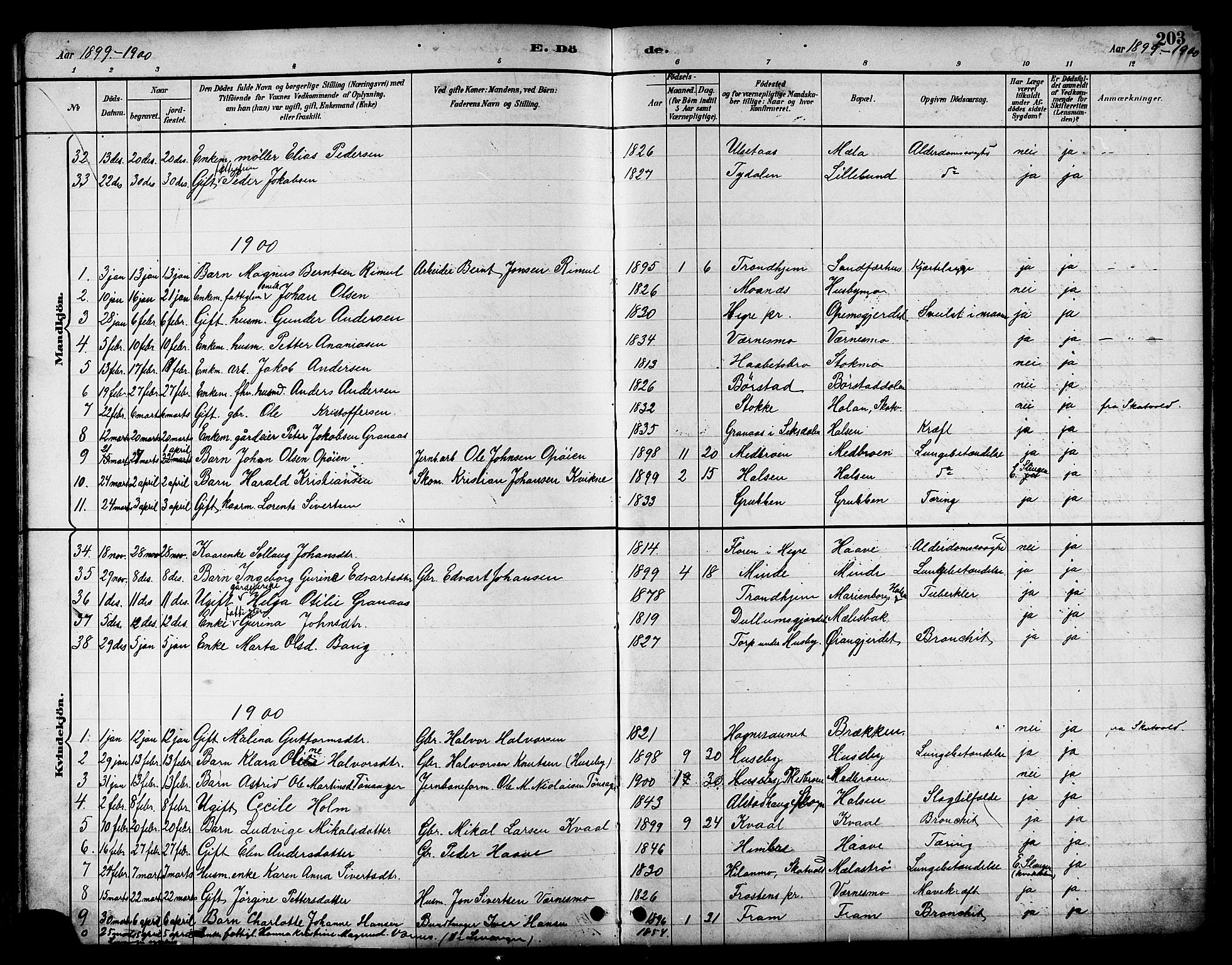 Ministerialprotokoller, klokkerbøker og fødselsregistre - Nord-Trøndelag, SAT/A-1458/709/L0087: Parish register (copy) no. 709C01, 1892-1913, p. 203