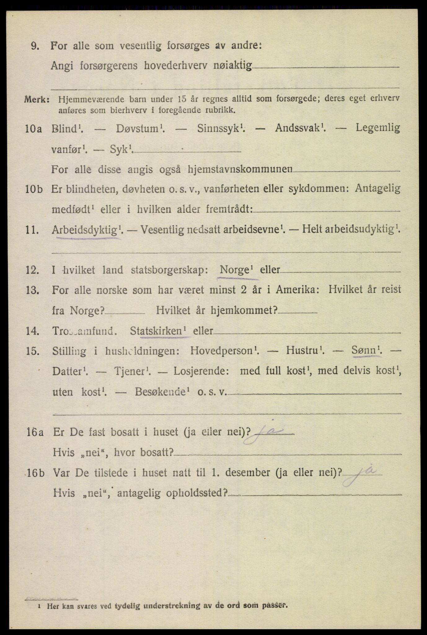 SAH, 1920 census for Dovre, 1920, p. 4555