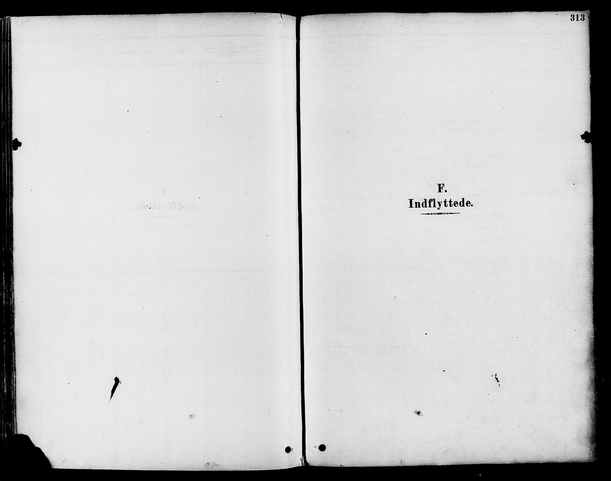 Vestre Toten prestekontor, SAH/PREST-108/H/Ha/Haa/L0009: Parish register (official) no. 9, 1878-1894, p. 313