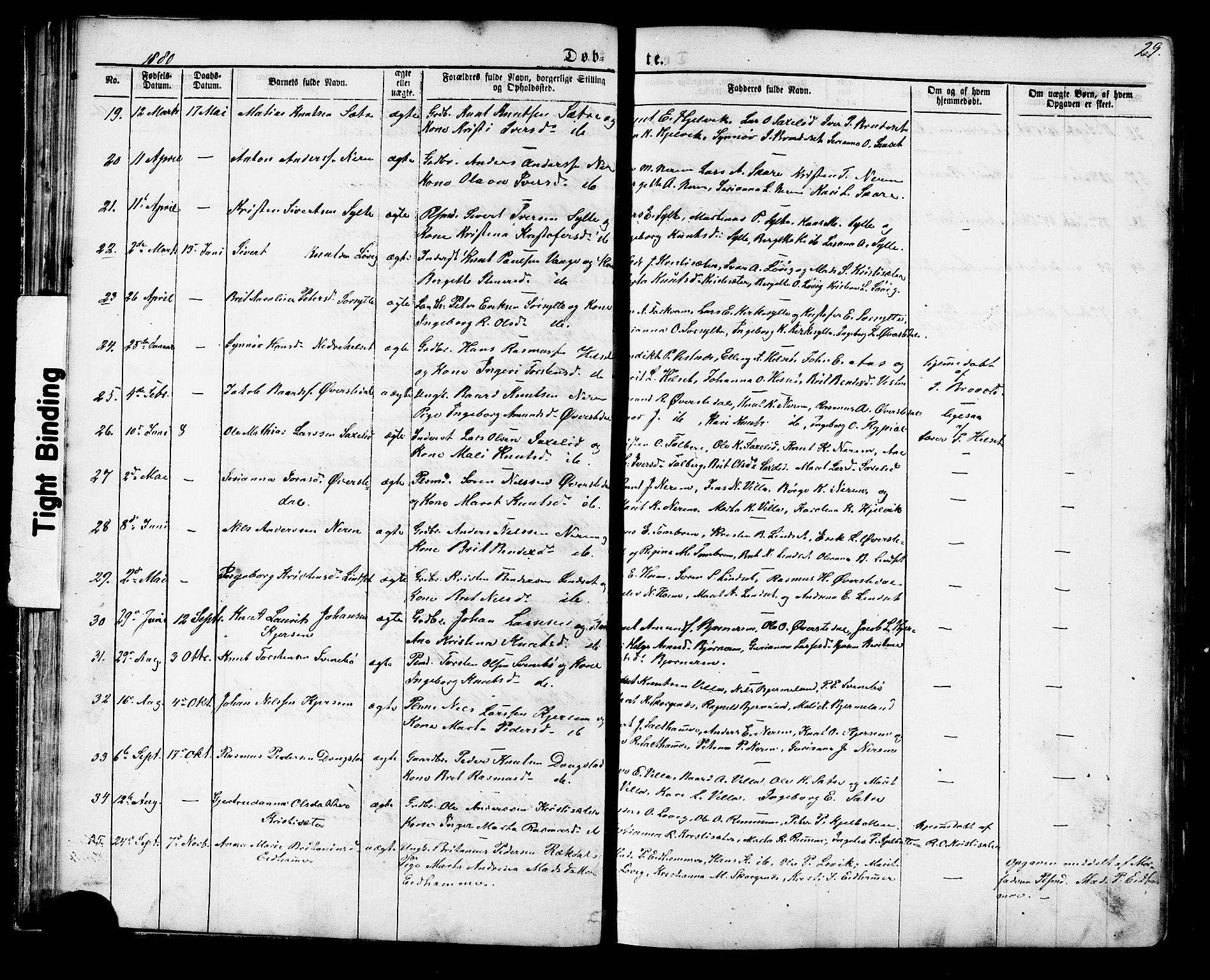 Ministerialprotokoller, klokkerbøker og fødselsregistre - Møre og Romsdal, SAT/A-1454/541/L0547: Parish register (copy) no. 541C02, 1867-1921, p. 29