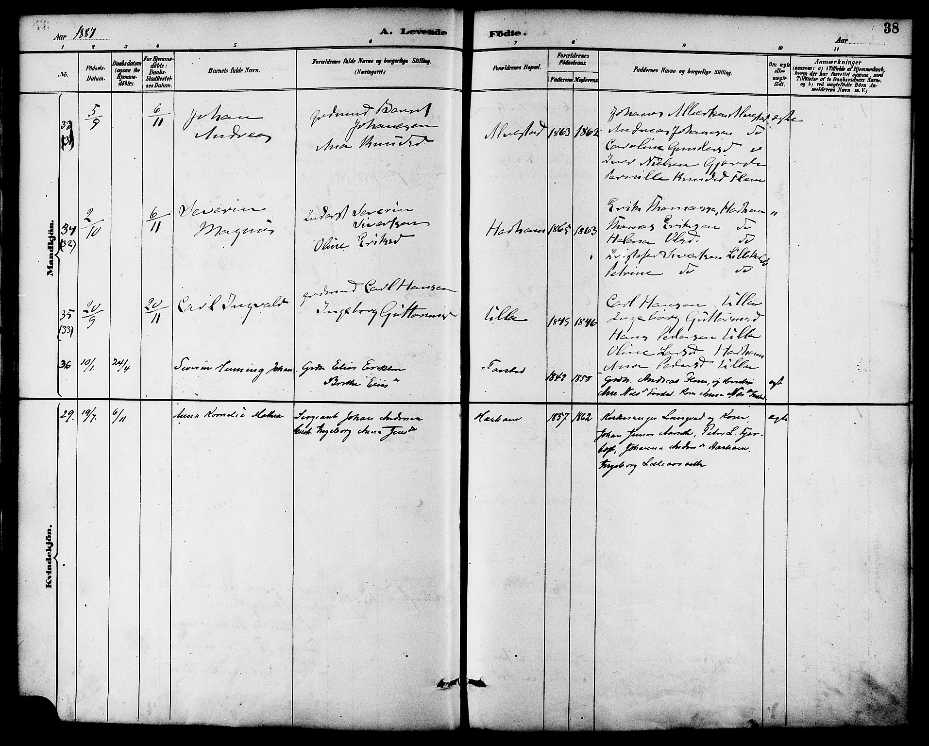 Ministerialprotokoller, klokkerbøker og fødselsregistre - Møre og Romsdal, AV/SAT-A-1454/536/L0501: Parish register (official) no. 536A10, 1884-1896, p. 38